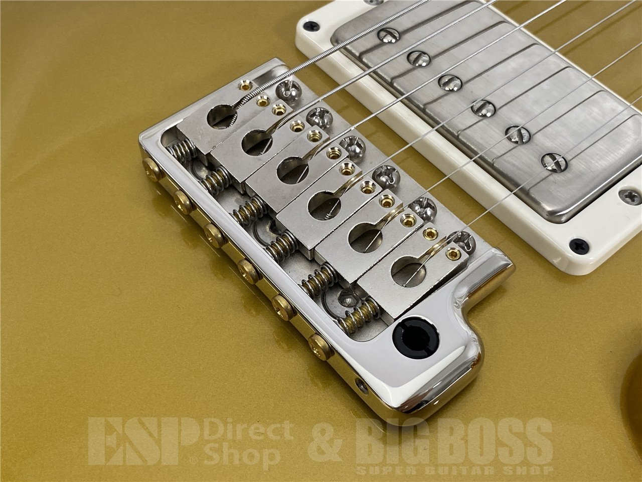 【即納可能】Paul Reed Smith(ポールリードスミス/PRS) DGT Birds / DGT Gold Top (2025年製 S/N 0403398)