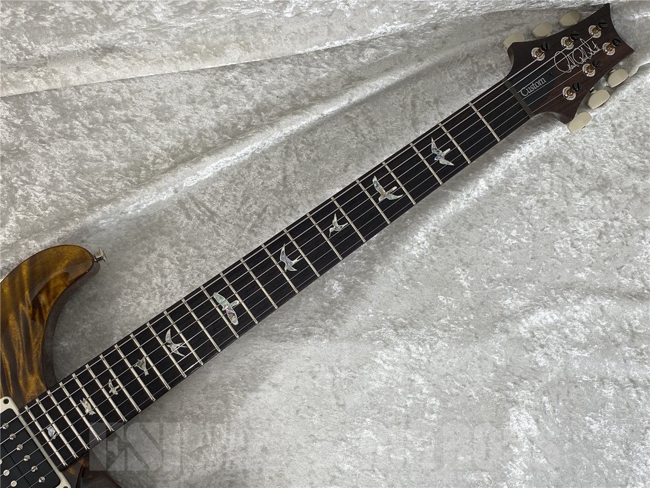 【即納可能】Paul Reed Smith(ポールリードスミス/PRS) Custom 24 / Black Gold (2025年製 S/N 0418482)