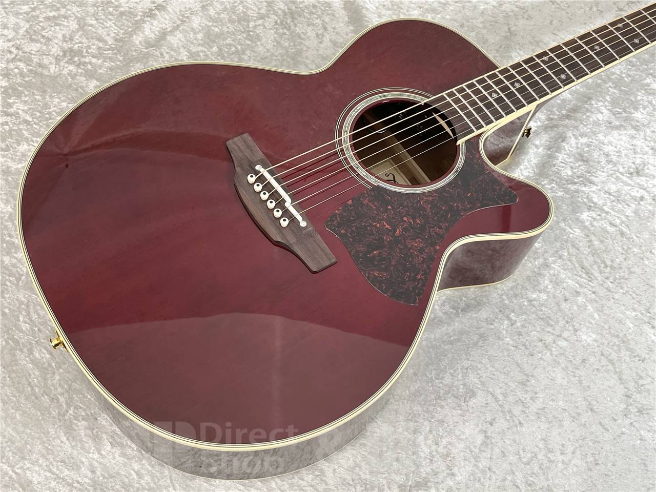 【即納可能】Takamine(タカミネ) DMP551C WR (エレアコ) お茶の水駅前店・別館