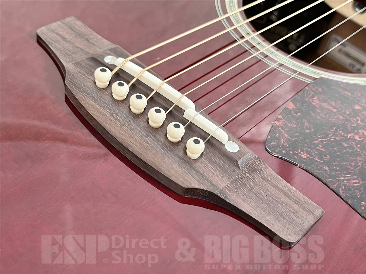 【即納可能】Takamine(タカミネ) DMP551C WR (エレアコ) お茶の水駅前店・別館