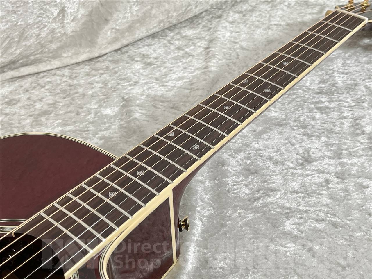 【即納可能】Takamine(タカミネ) DMP551C WR (エレアコ) お茶の水駅前店・別館