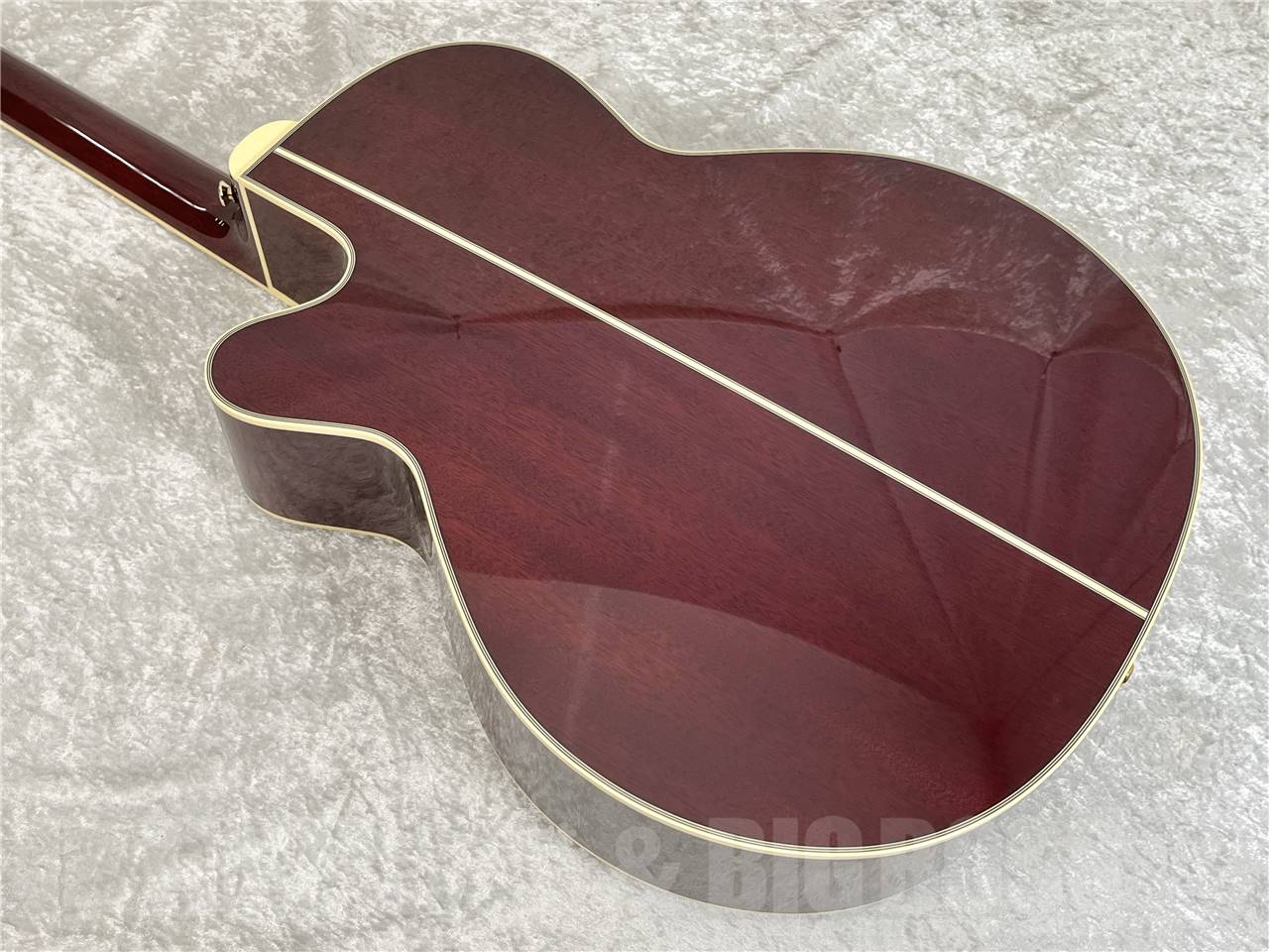 【即納可能】Takamine(タカミネ) DMP551C WR (エレアコ) お茶の水駅前店・別館