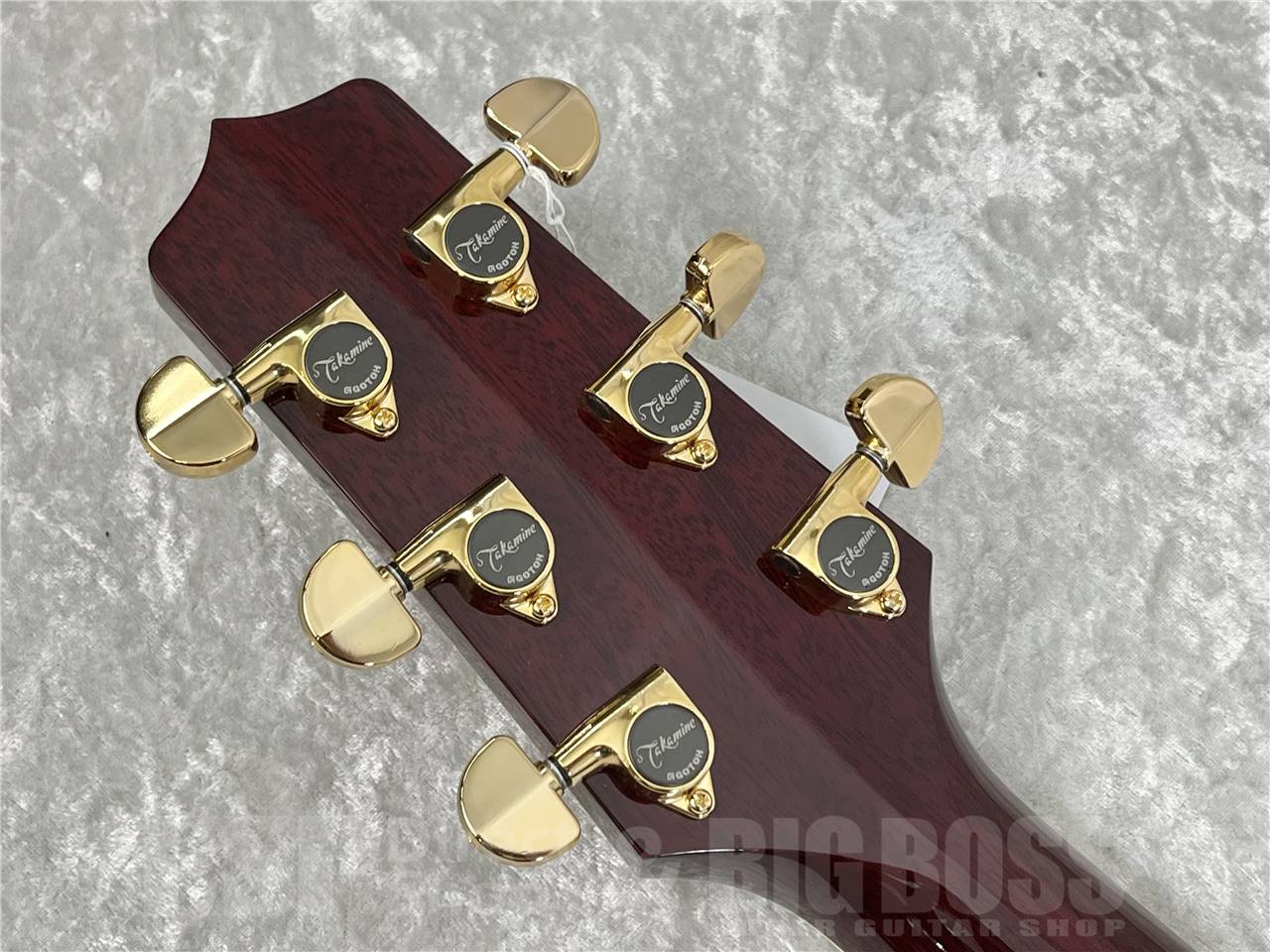 【即納可能】Takamine(タカミネ) DMP551C WR (エレアコ) お茶の水駅前店・別館