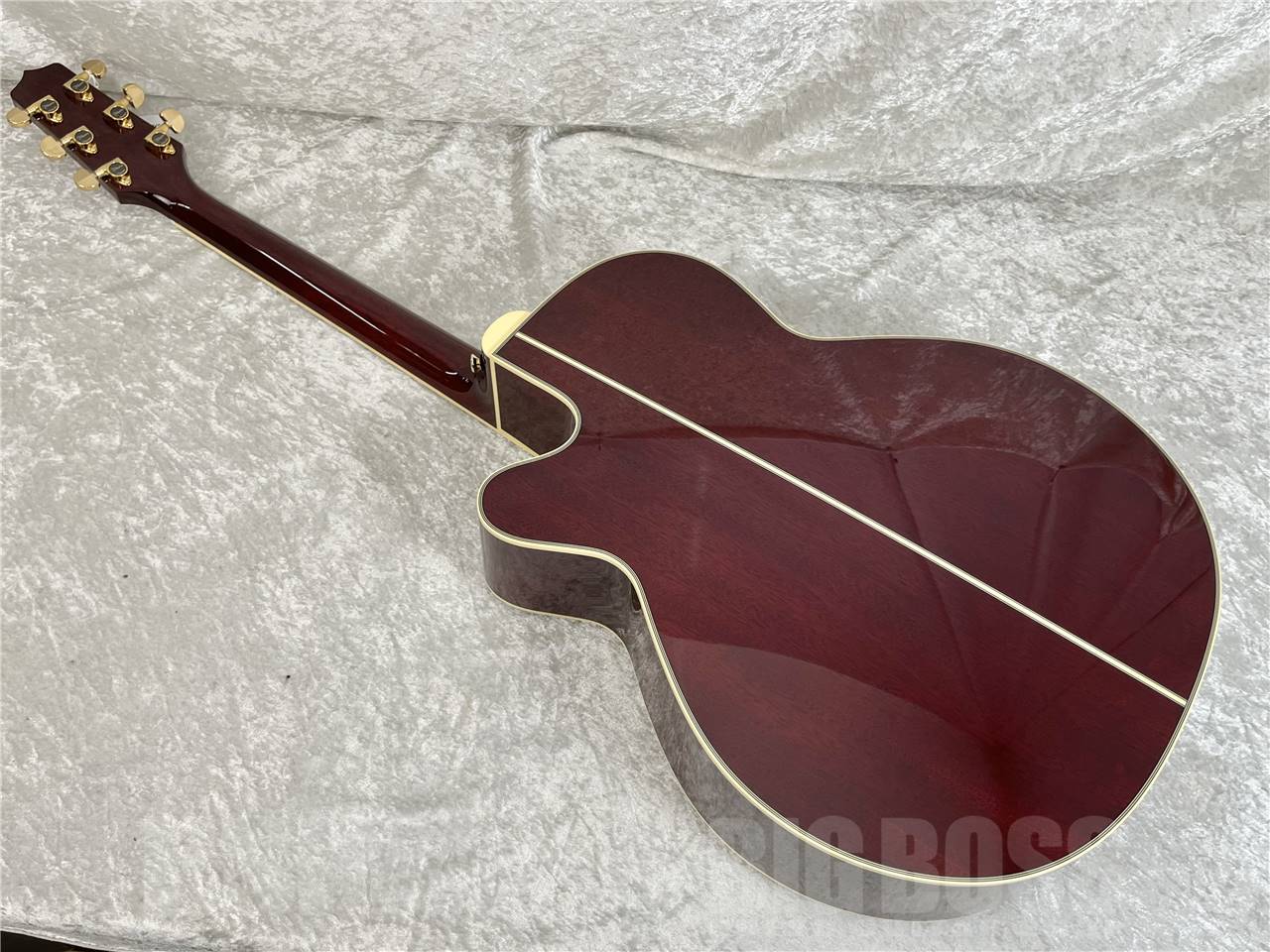 【即納可能】Takamine(タカミネ) DMP551C WR (エレアコ) お茶の水駅前店・別館