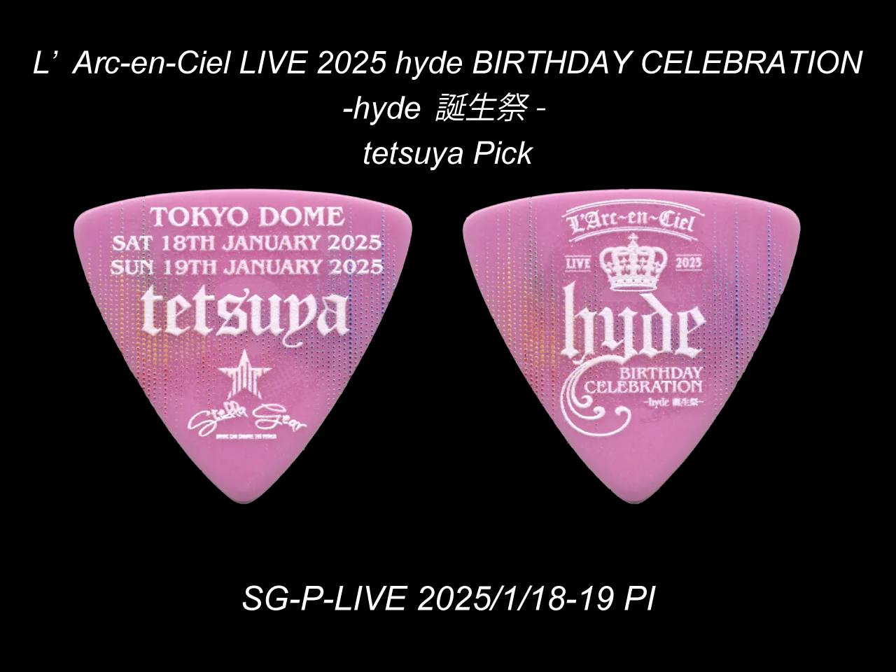 STELLA GEAR(ステラギア) SG-P-LIVE 2025/1/18-19 PI (tetsuyaモデル)