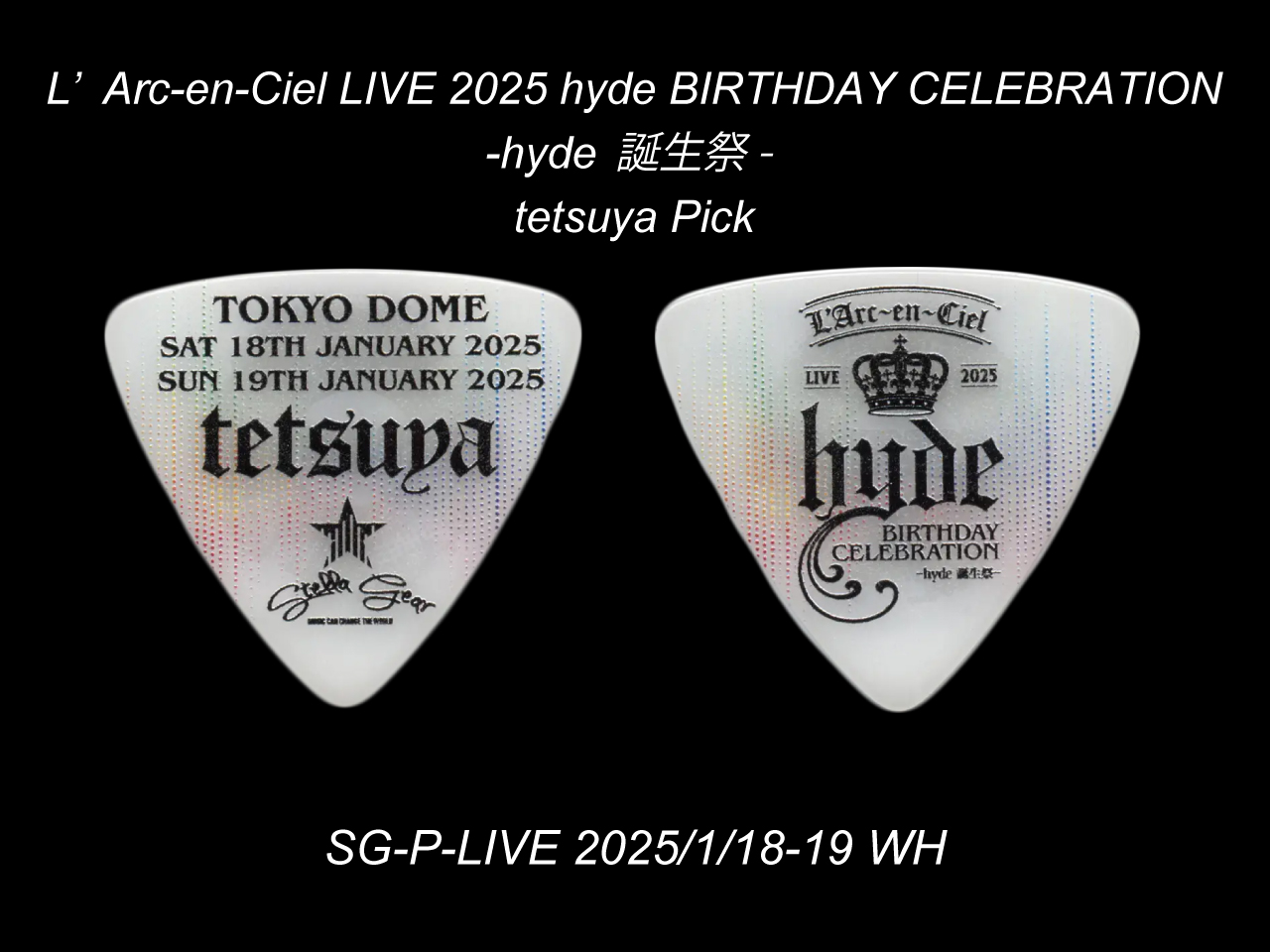 STELLA GEAR(ステラギア) SG-P-LIVE 2025/1/18-19 WH (tetsuyaモデル)