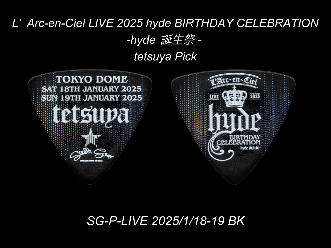 STELLA GEAR(ステラギア) SG-P-LIVE 2025/1/18-20 BK (tetsuyaモデル)