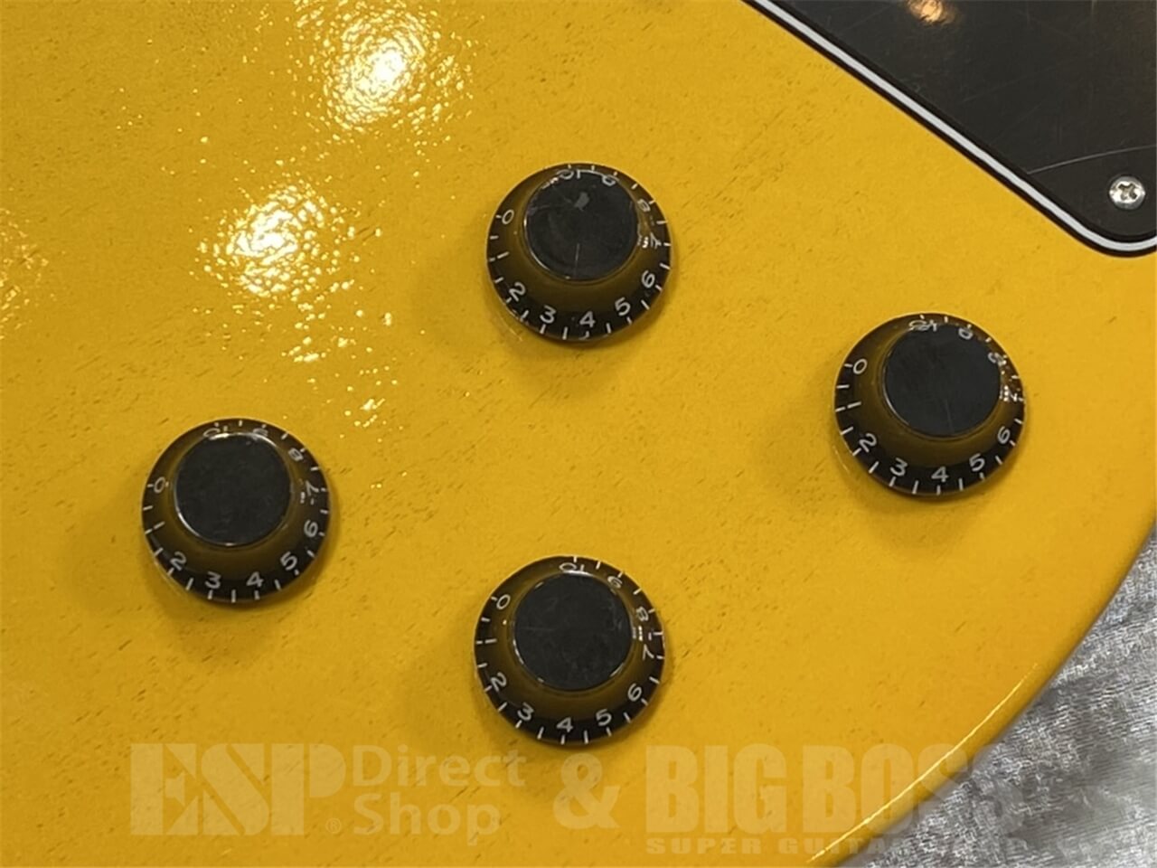 【即納可能】EDWARDS(エドワーズ)E-LS-LTD / TV Yellow GWS