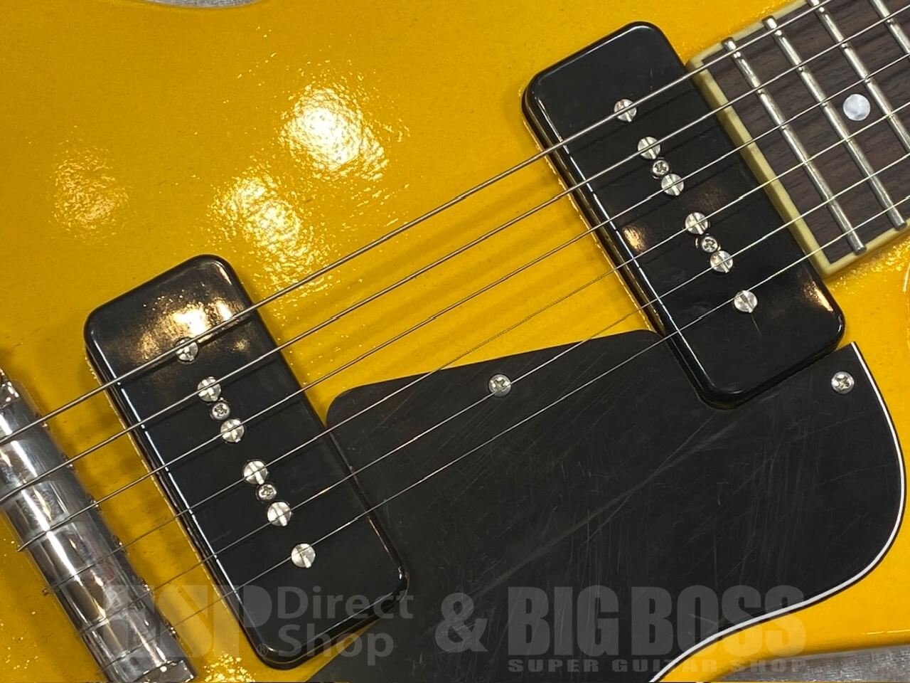 【即納可能】EDWARDS(エドワーズ)E-LS-LTD / TV Yellow GWS