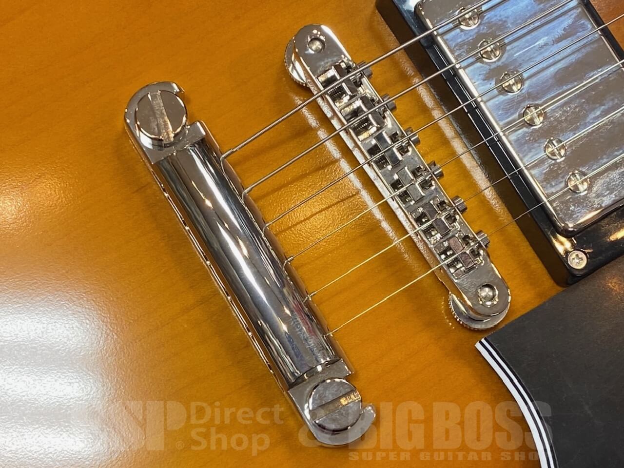 【即納可能】EDWARDS(エドワーズ) E-SA-STD / Tobacco Sunburst  GWS