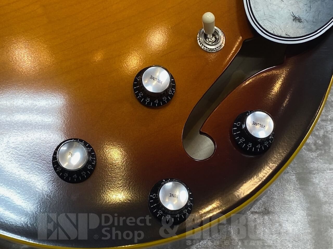 【即納可能】EDWARDS(エドワーズ) E-SA-STD / Tobacco Sunburst  GWS