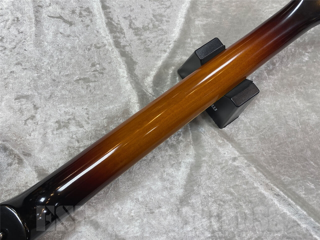 【即納可能】EDWARDS(エドワーズ) E-SA-STD / Tobacco Sunburst  GWS