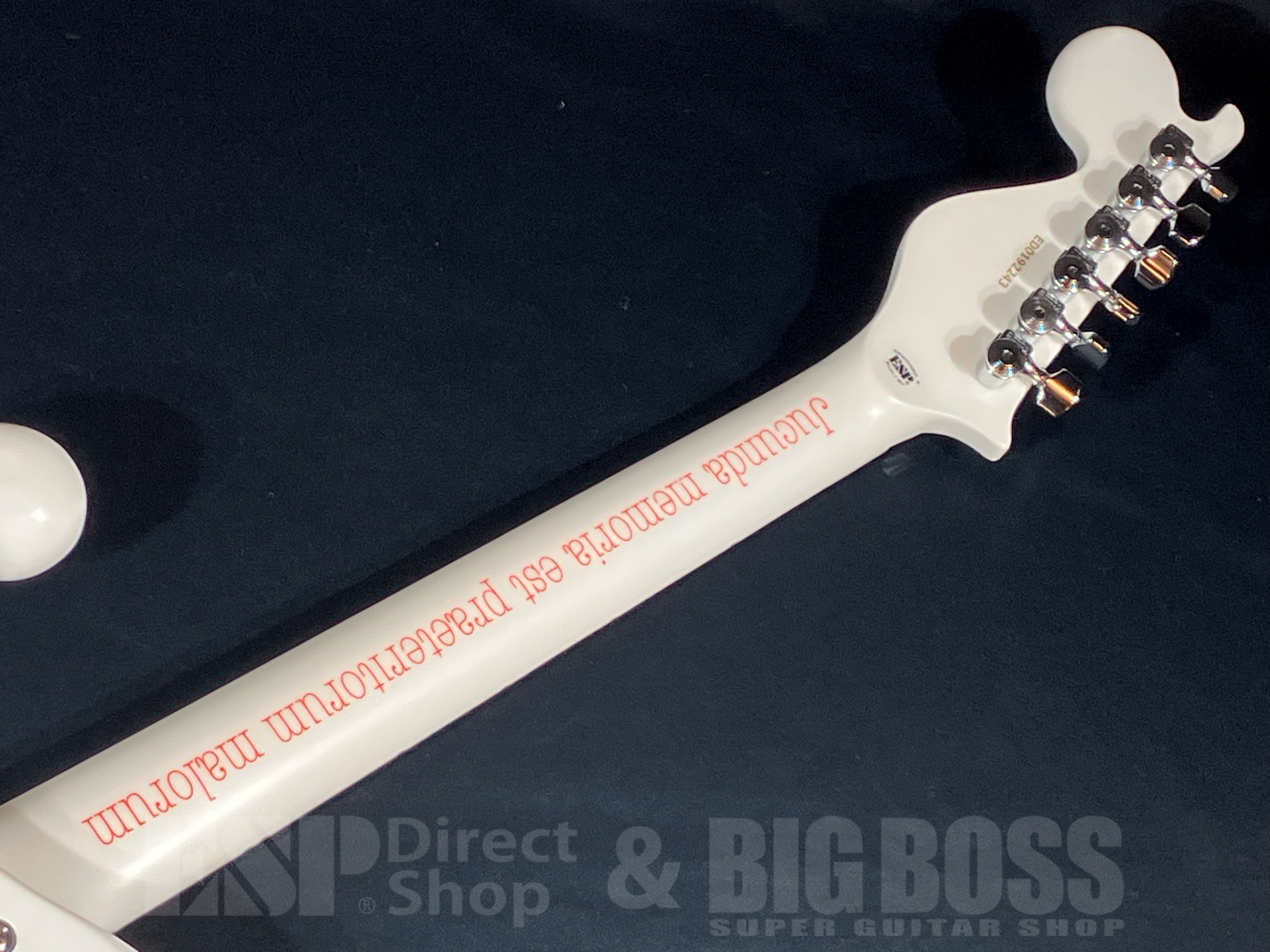 【即納可能/中古品】EDWARDS(エドワーズ) E-SRK-II（NIGHTMARE 咲人モデル） 大阪店