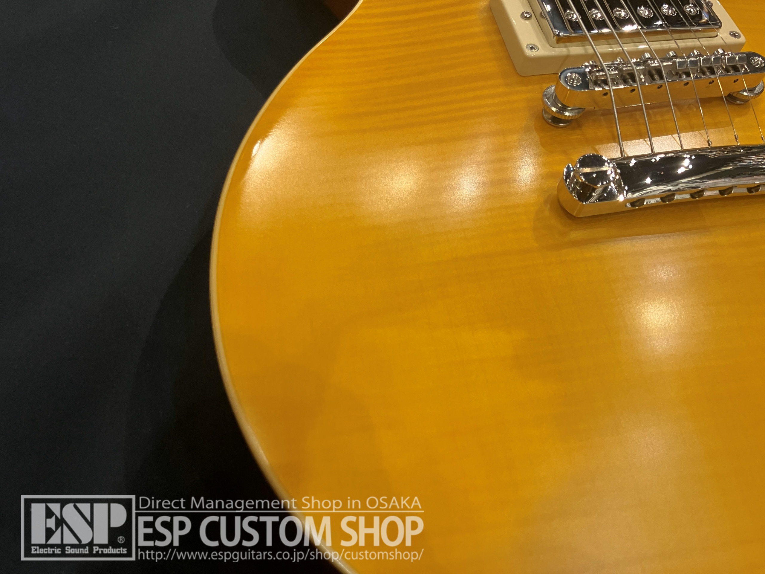 【即納可能/中古品】Epiphone（エピフォン） Kirk Hammett "Greeny" 1959 Les Paul Standard / Greeny Burst 大阪店