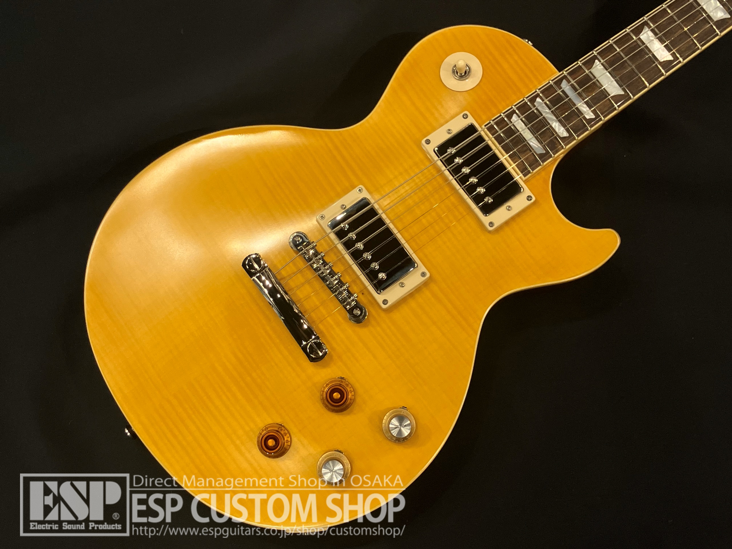 【即納可能/中古品】Epiphone（エピフォン） Kirk Hammett "Greeny" 1959 Les Paul Standard / Greeny Burst 大阪店