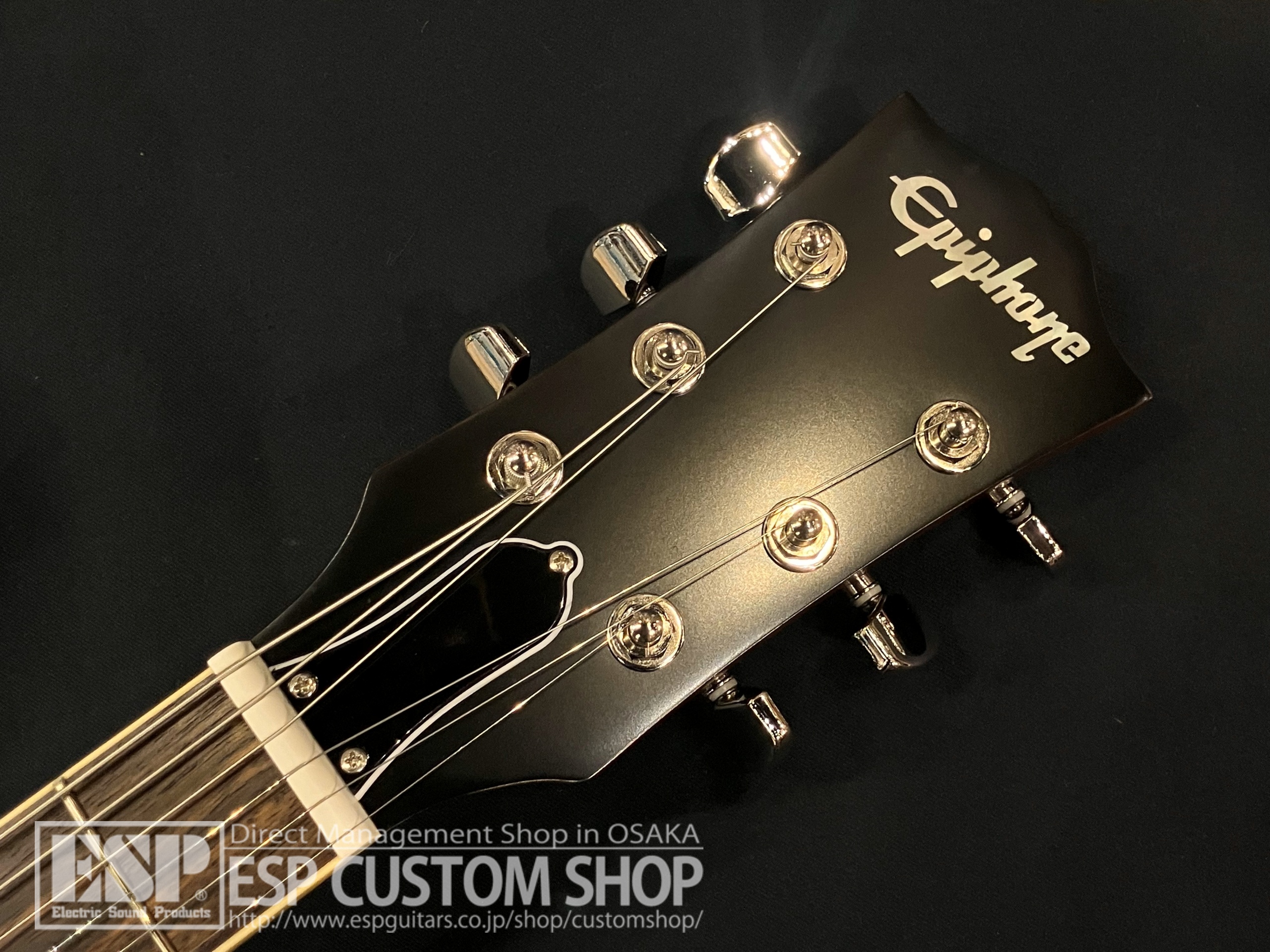 【即納可能/中古品】Epiphone（エピフォン） Kirk Hammett "Greeny" 1959 Les Paul Standard / Greeny Burst 大阪店