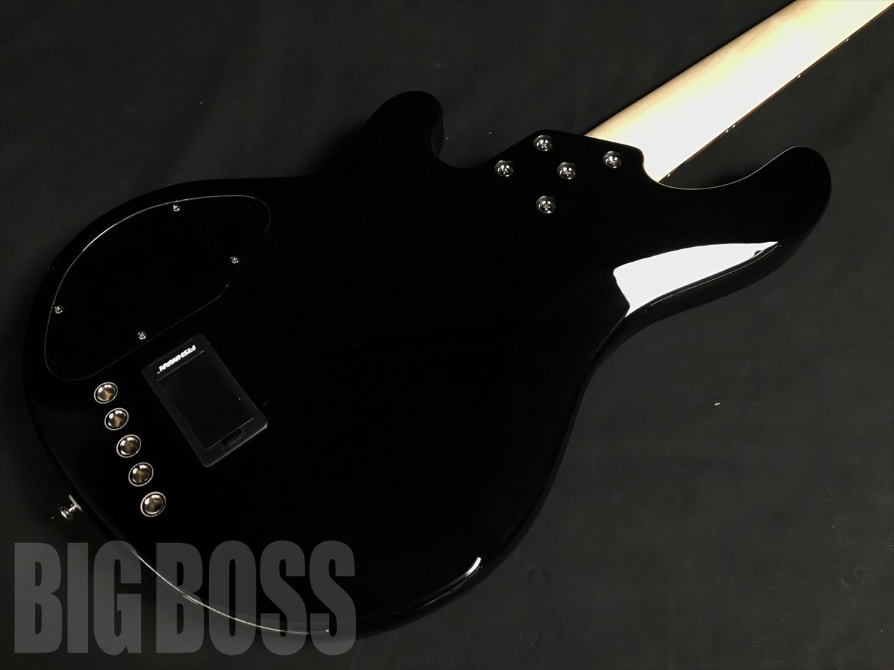【受注生産】Lakland(レイクランド) Skyline Japan Series SK-5CL Black /  Rosewood FB - 5