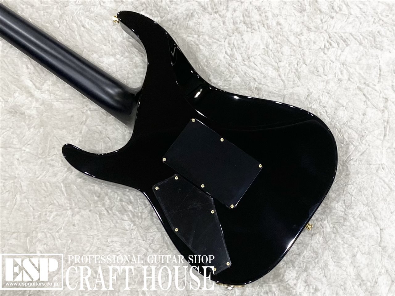 【即納可能】E-II M-II QM / Black Natural Burst　渋谷店