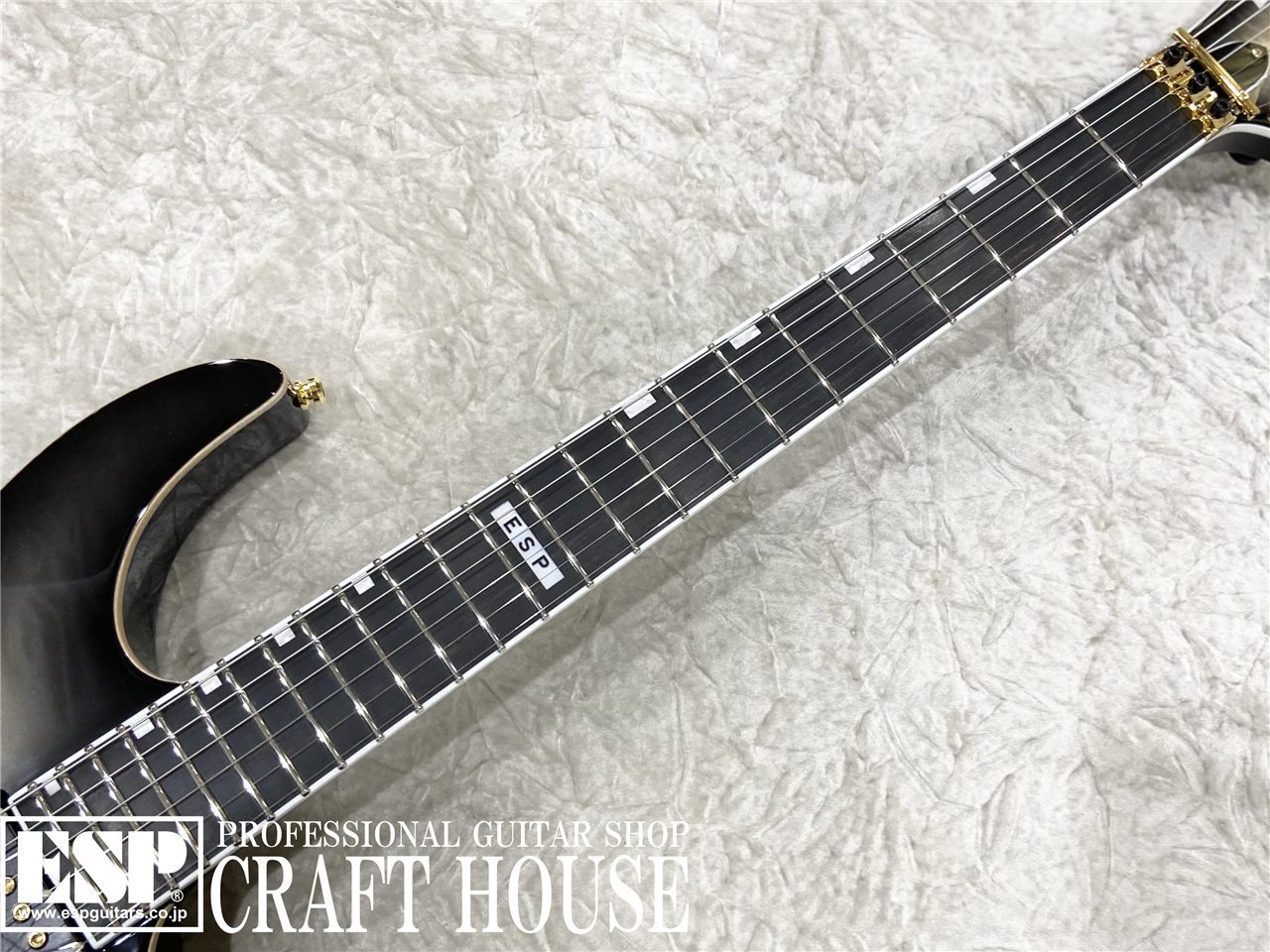 【即納可能】E-II M-II QM / Black Natural Burst　渋谷店