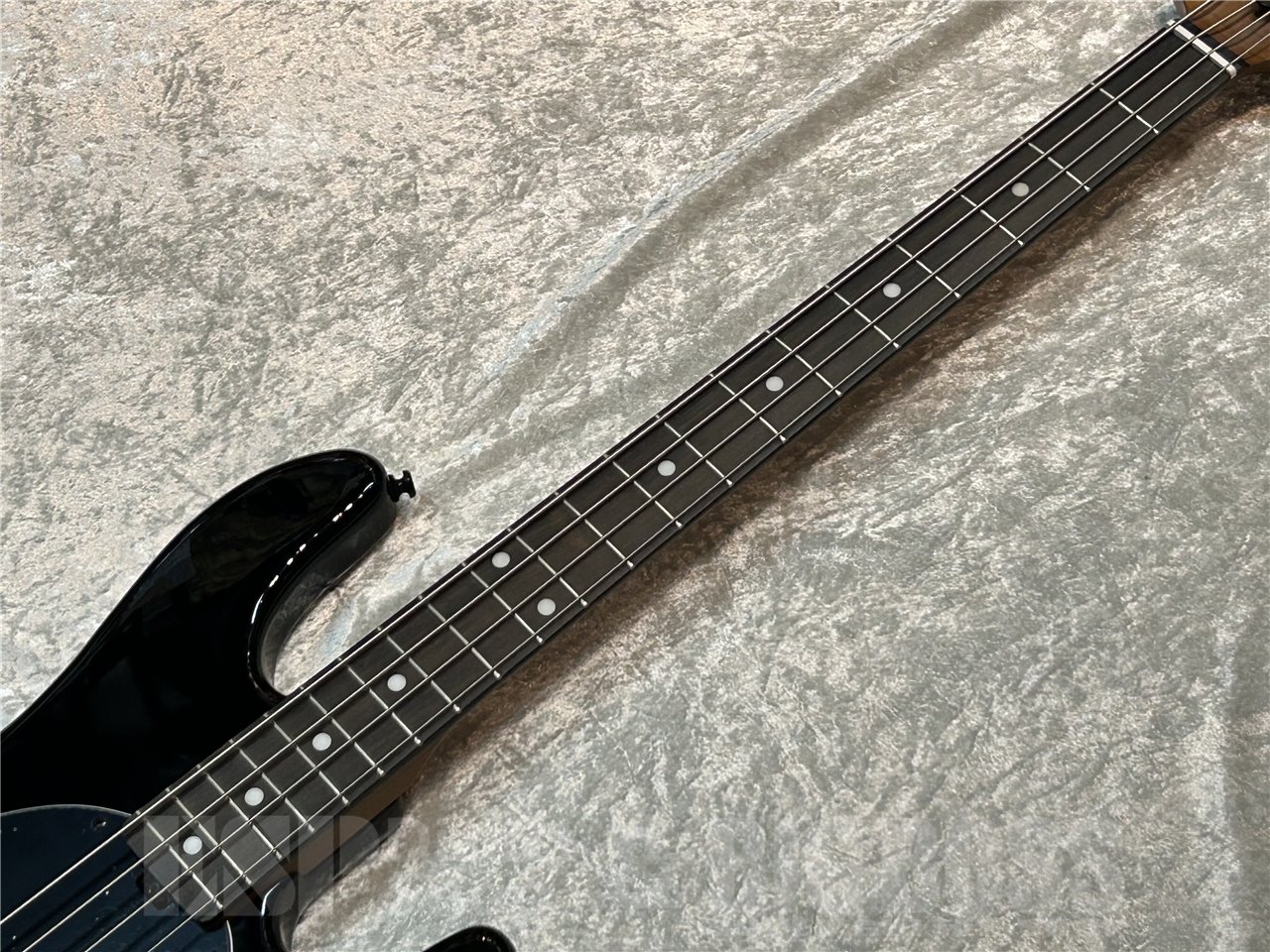 【即納可能】Sterling by MUSIC MAN(スターリンバイミュージックマン) DarkRay (Black)広島店
