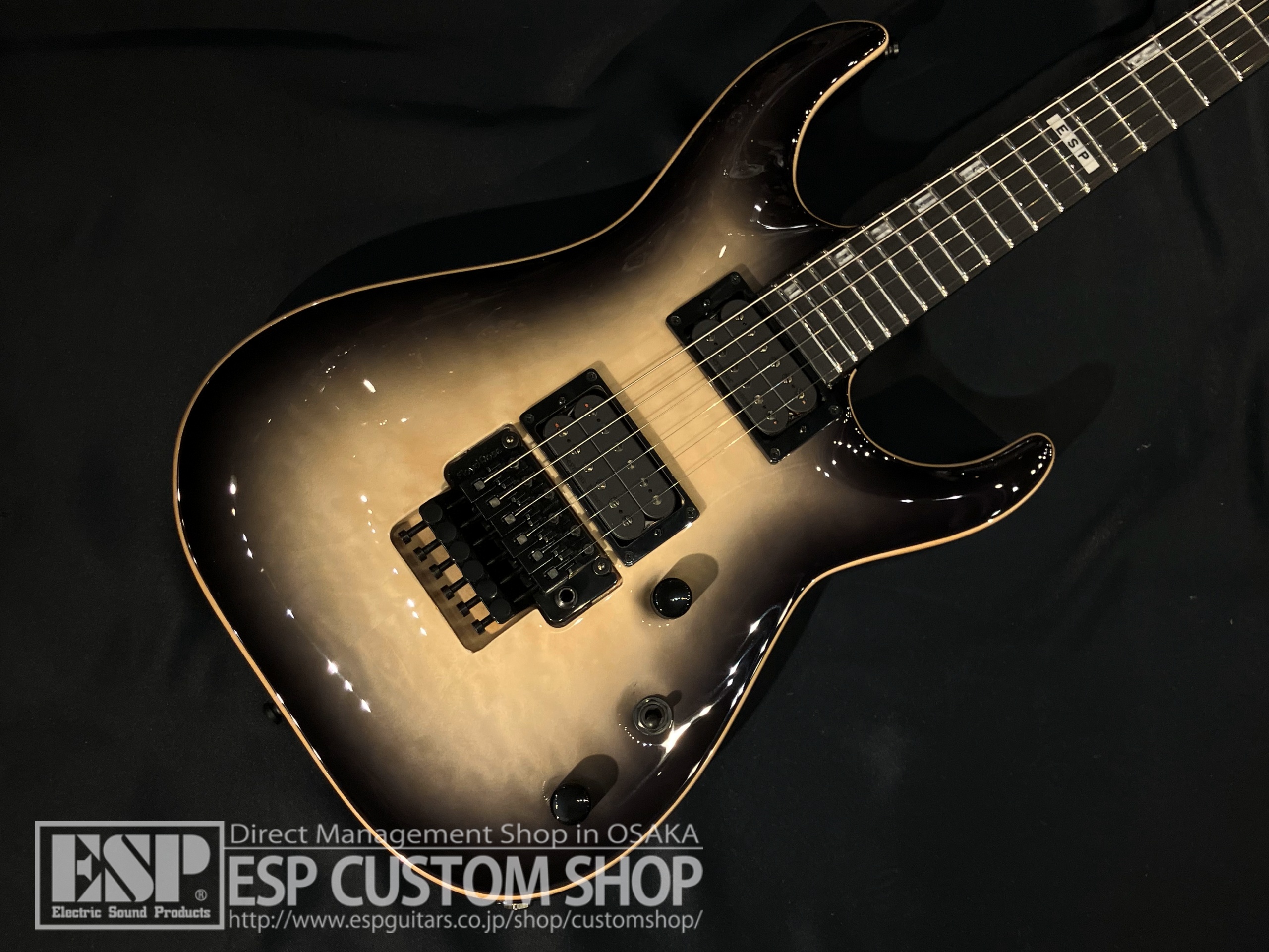 【即納可能】E-II (イーツー) HORIZON FR QM / Black Natural Burst 大阪店