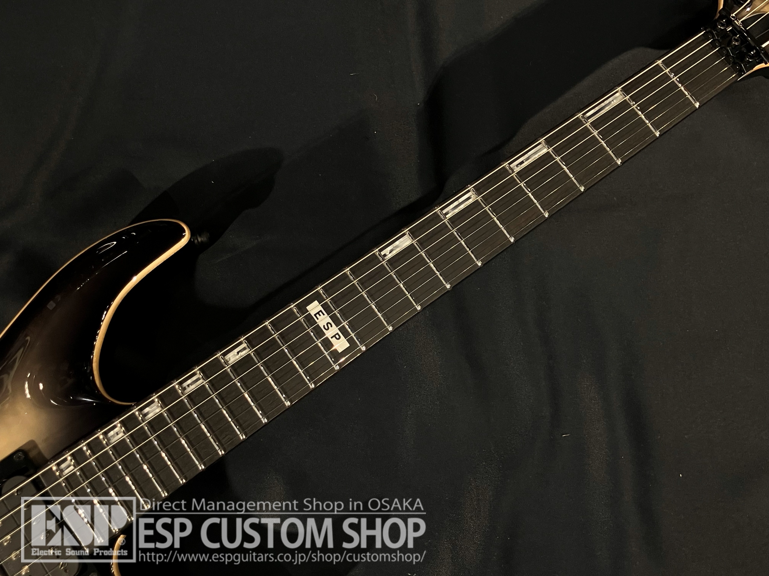 【即納可能】E-II (イーツー) HORIZON FR QM / Black Natural Burst 大阪店