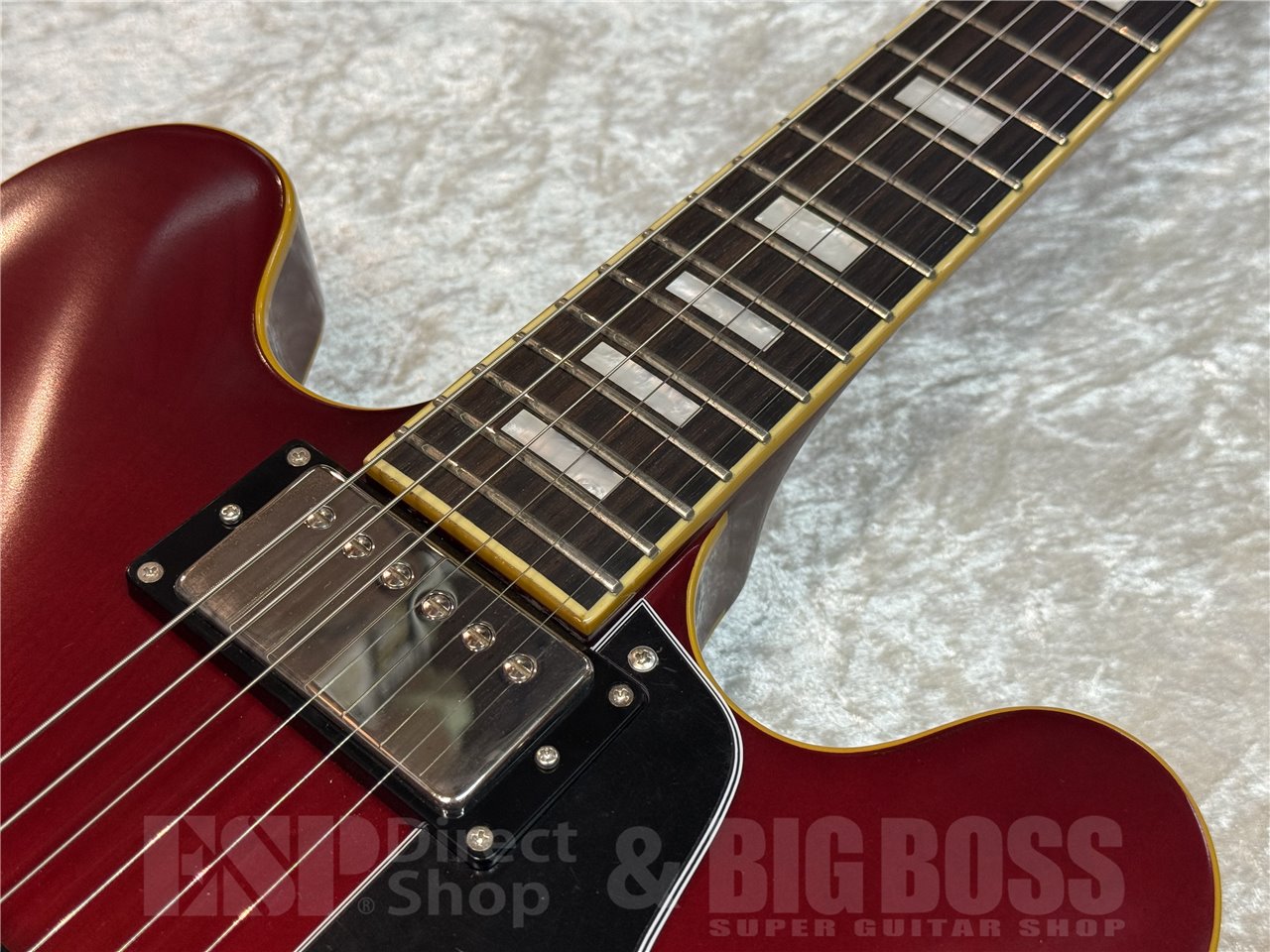 【即納可能】EDWARDS(エドワーズ) E-SA-STD / Cherry 広島店【新春初売りお年玉セール対象商品】