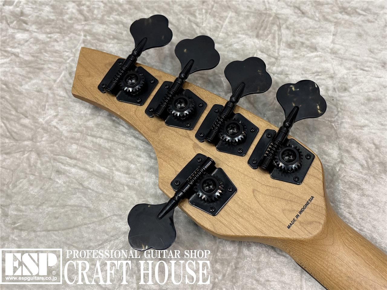 【即納可能】Sterling by MUSIC MAN BONGO 5 / Firemist Purple Satin　渋谷店