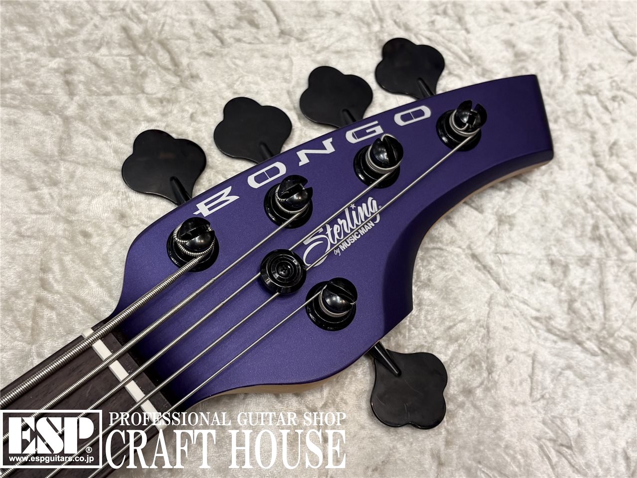【即納可能】Sterling by MUSIC MAN BONGO 5 / Firemist Purple Satin　渋谷店