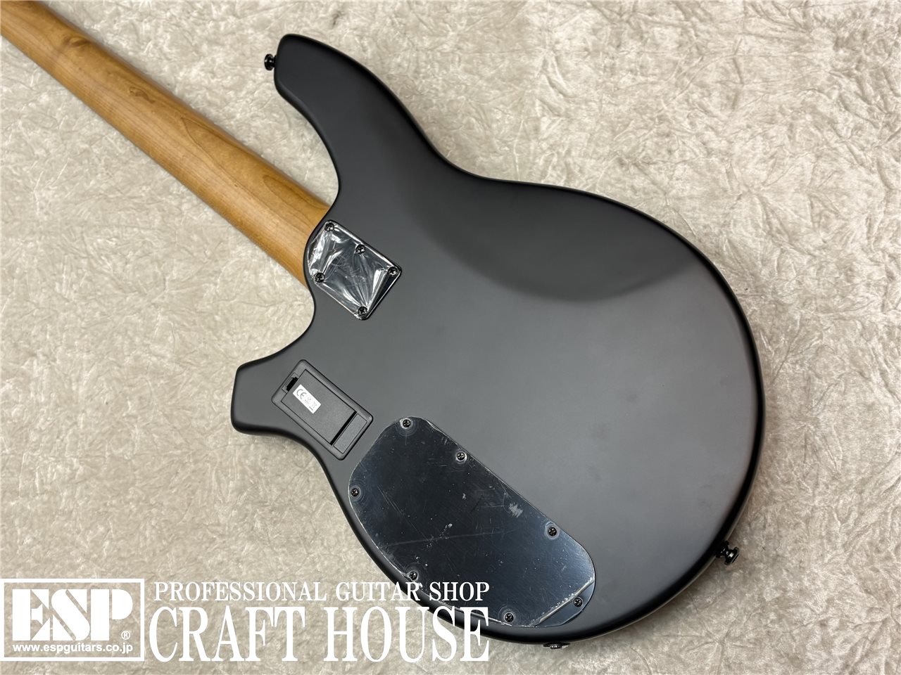 【即納可能】Sterling by MUSIC MAN BONGO 5 / Stealth Black　渋谷店