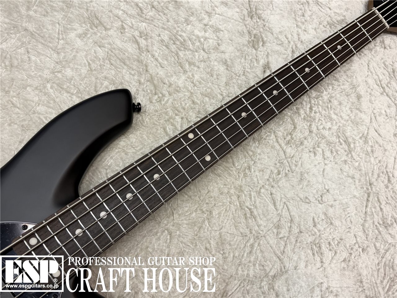 【即納可能】Sterling by MUSIC MAN BONGO 5 / Stealth Black　渋谷店