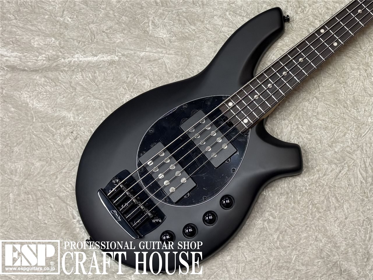 【即納可能】Sterling by MUSIC MAN BONGO 5 / Stealth Black　渋谷店