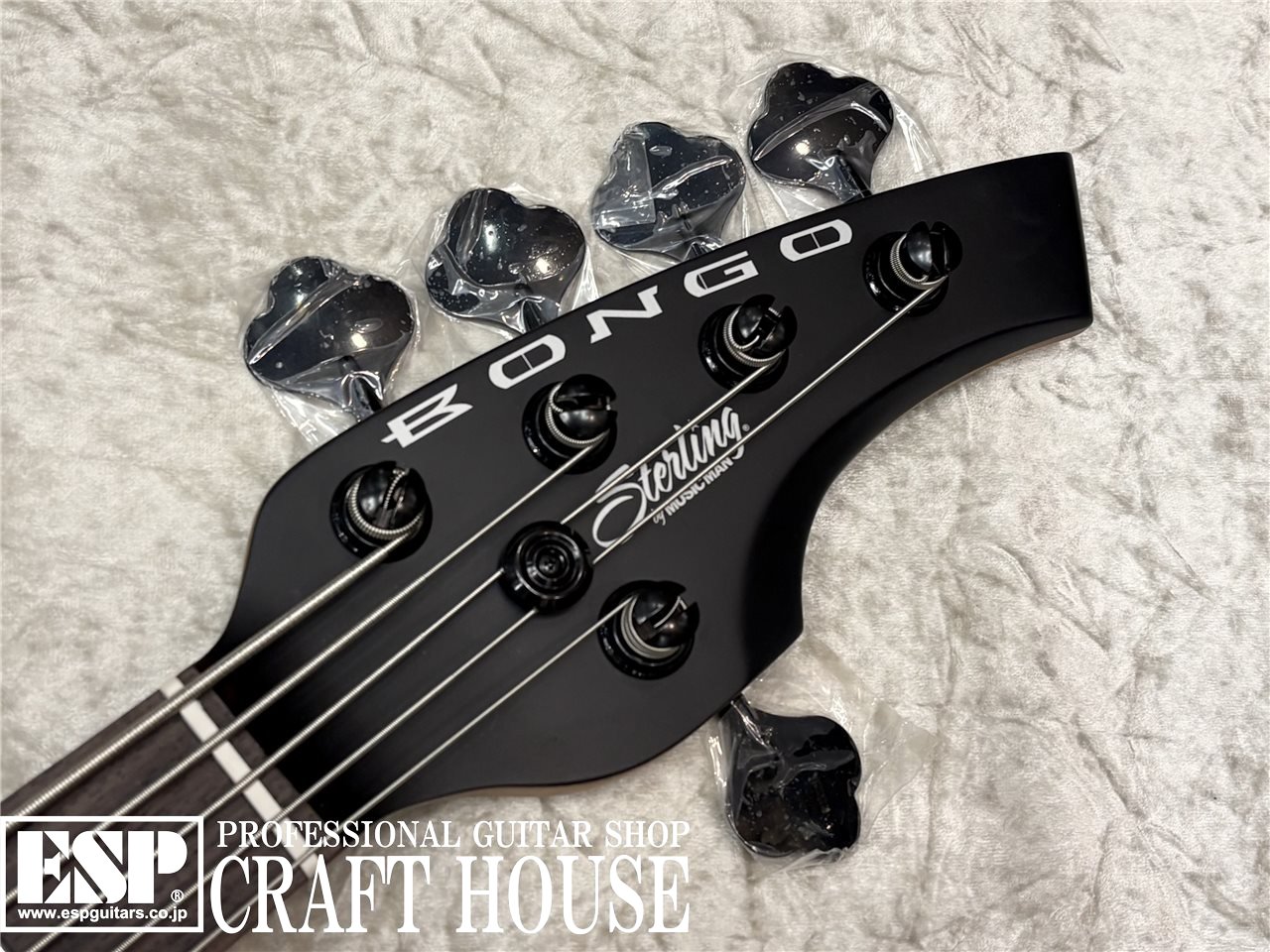 【即納可能】Sterling by MUSIC MAN BONGO 5 / Stealth Black　渋谷店