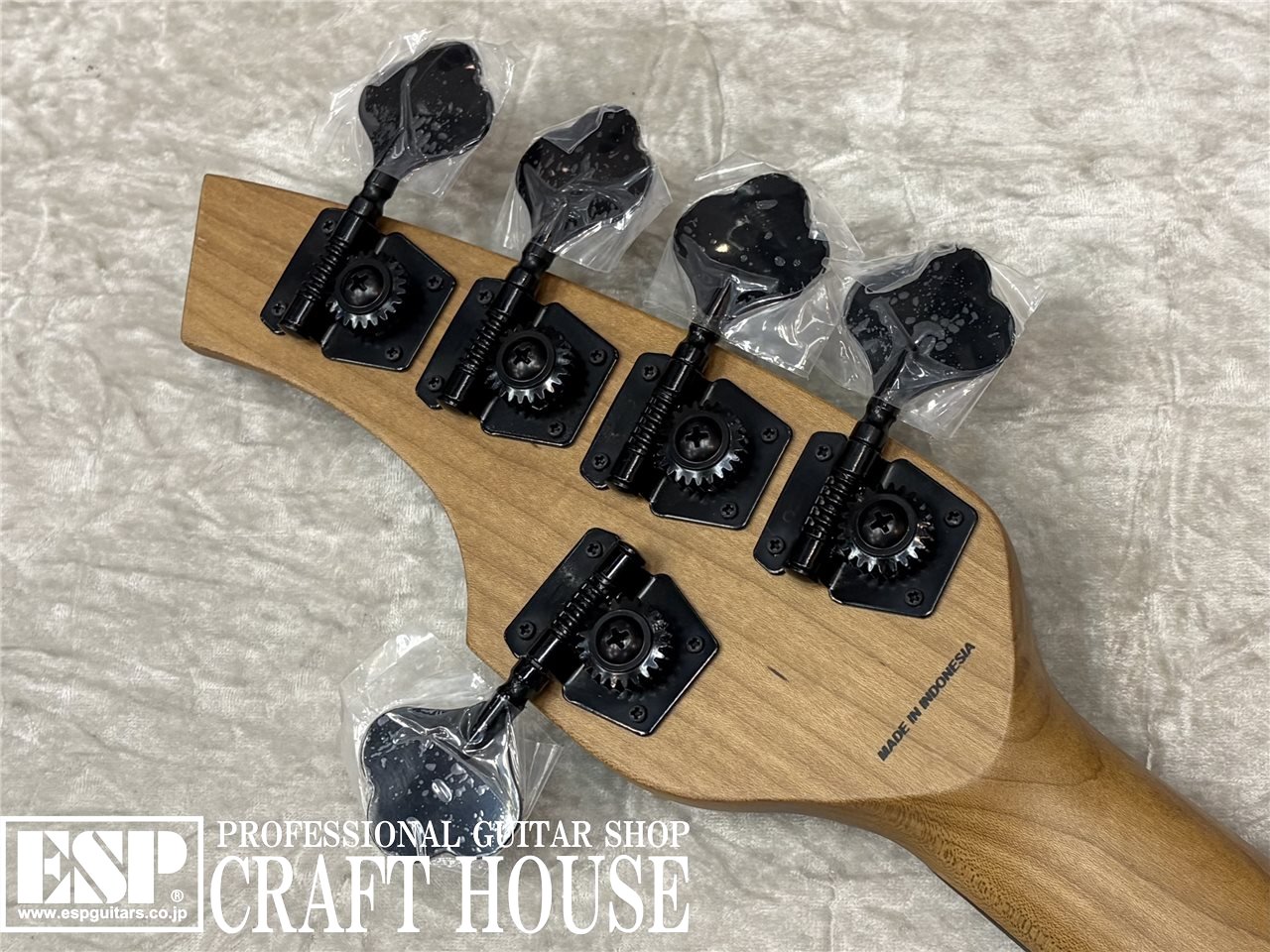 【即納可能】Sterling by MUSIC MAN BONGO 5 / Stealth Black　渋谷店