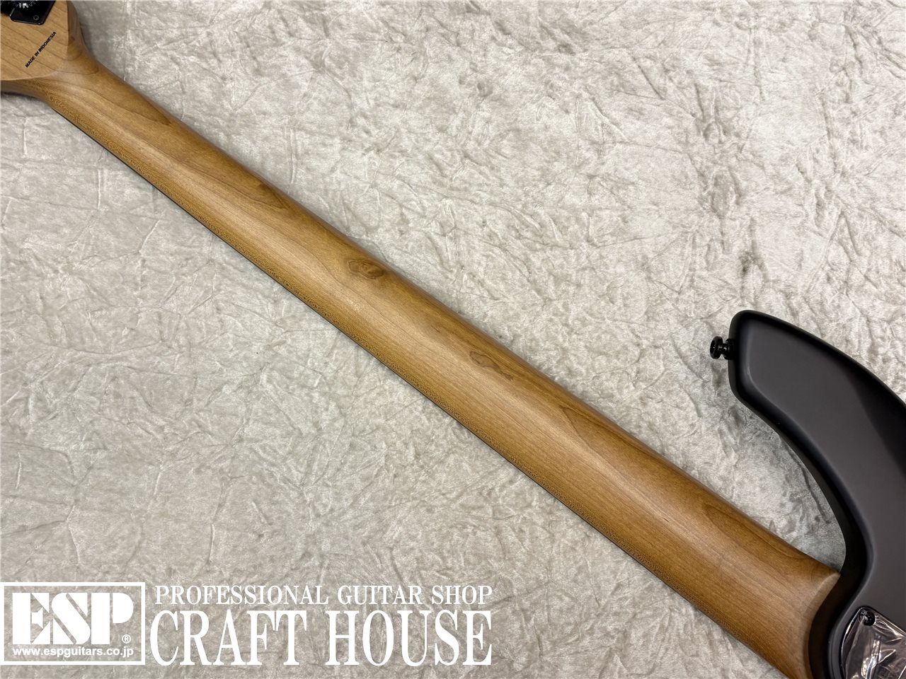 【即納可能】Sterling by MUSIC MAN BONGO 5 / Stealth Black　渋谷店