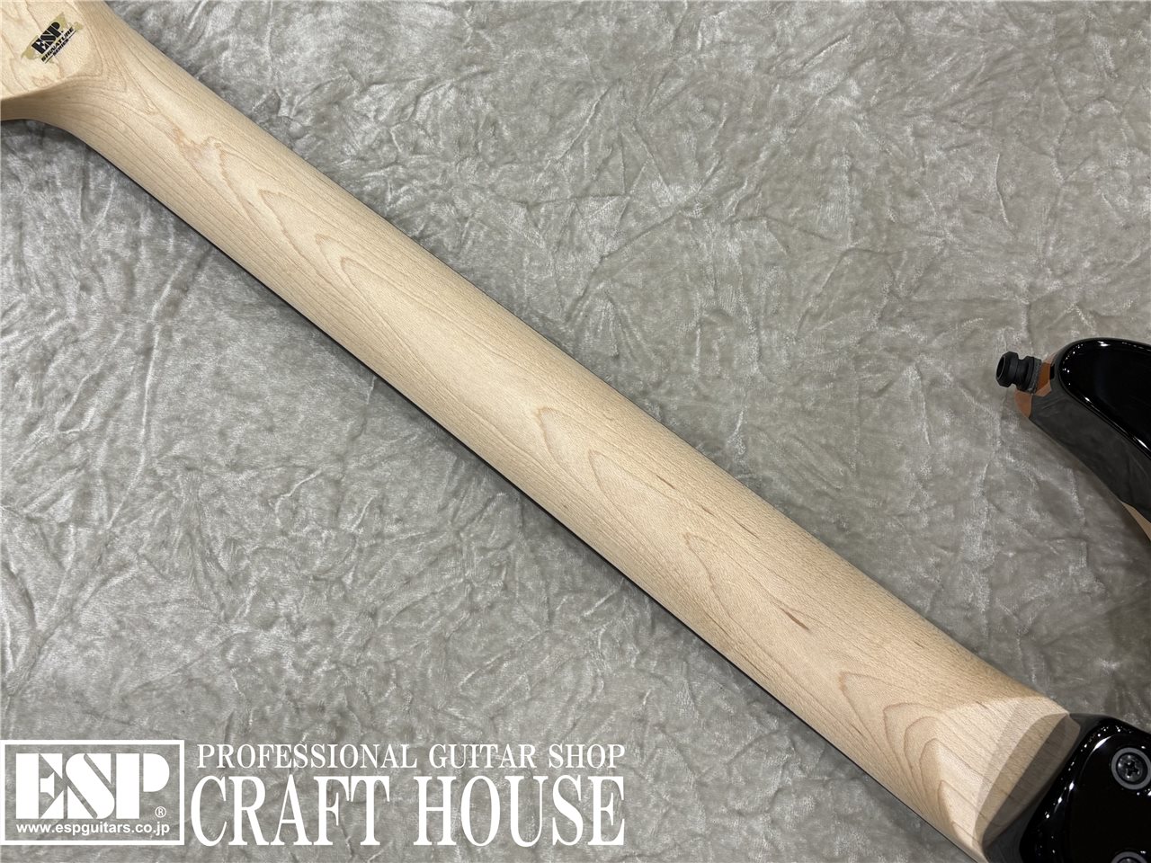 【即納可能】ESP GL DESERT EAGLE / Black w/Desert Eagle Graphic 渋谷店