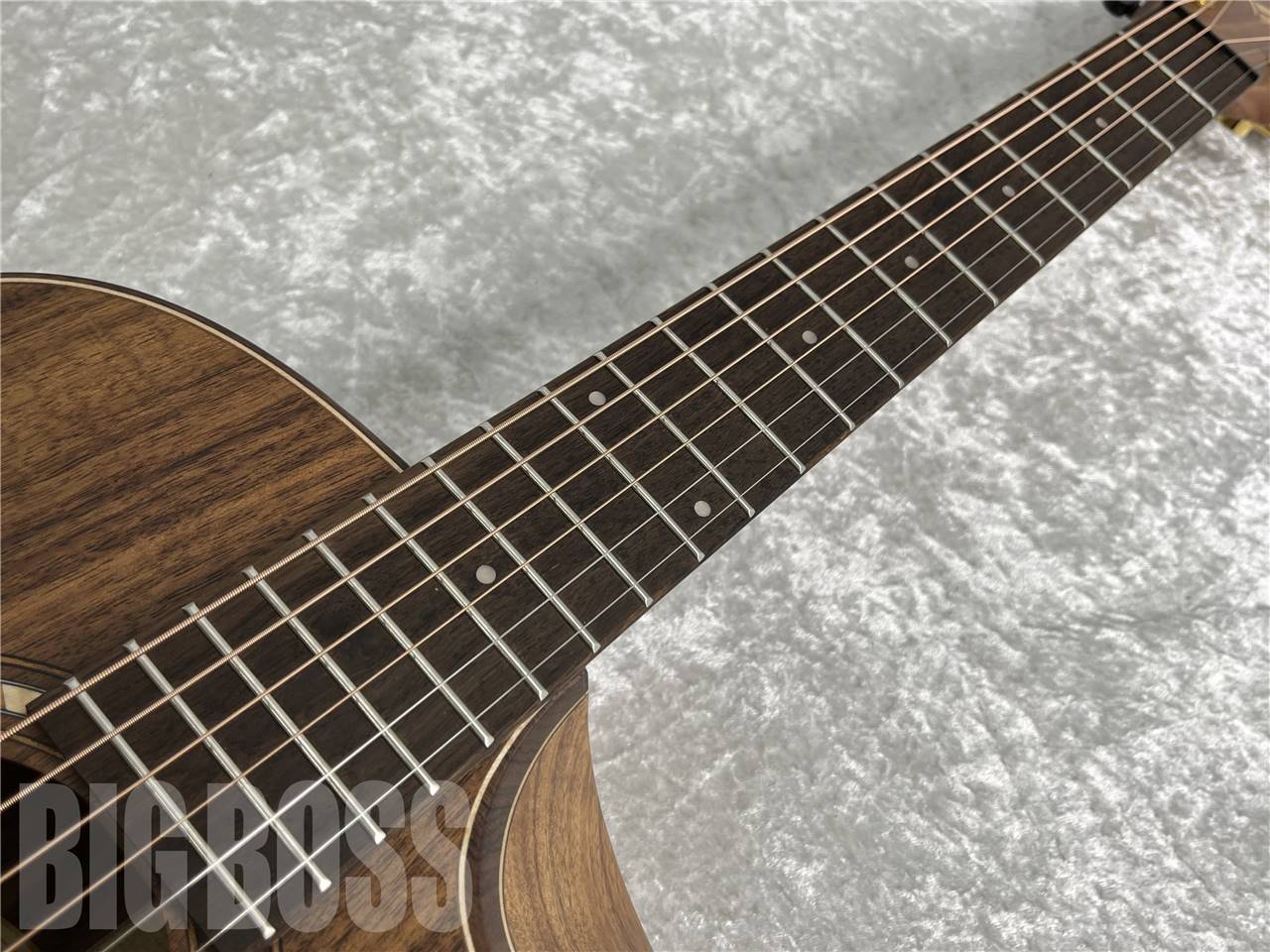 【即納可能】Washburn G-MINI 55 KOA (ミニアコギ) お茶の水駅前店・別館