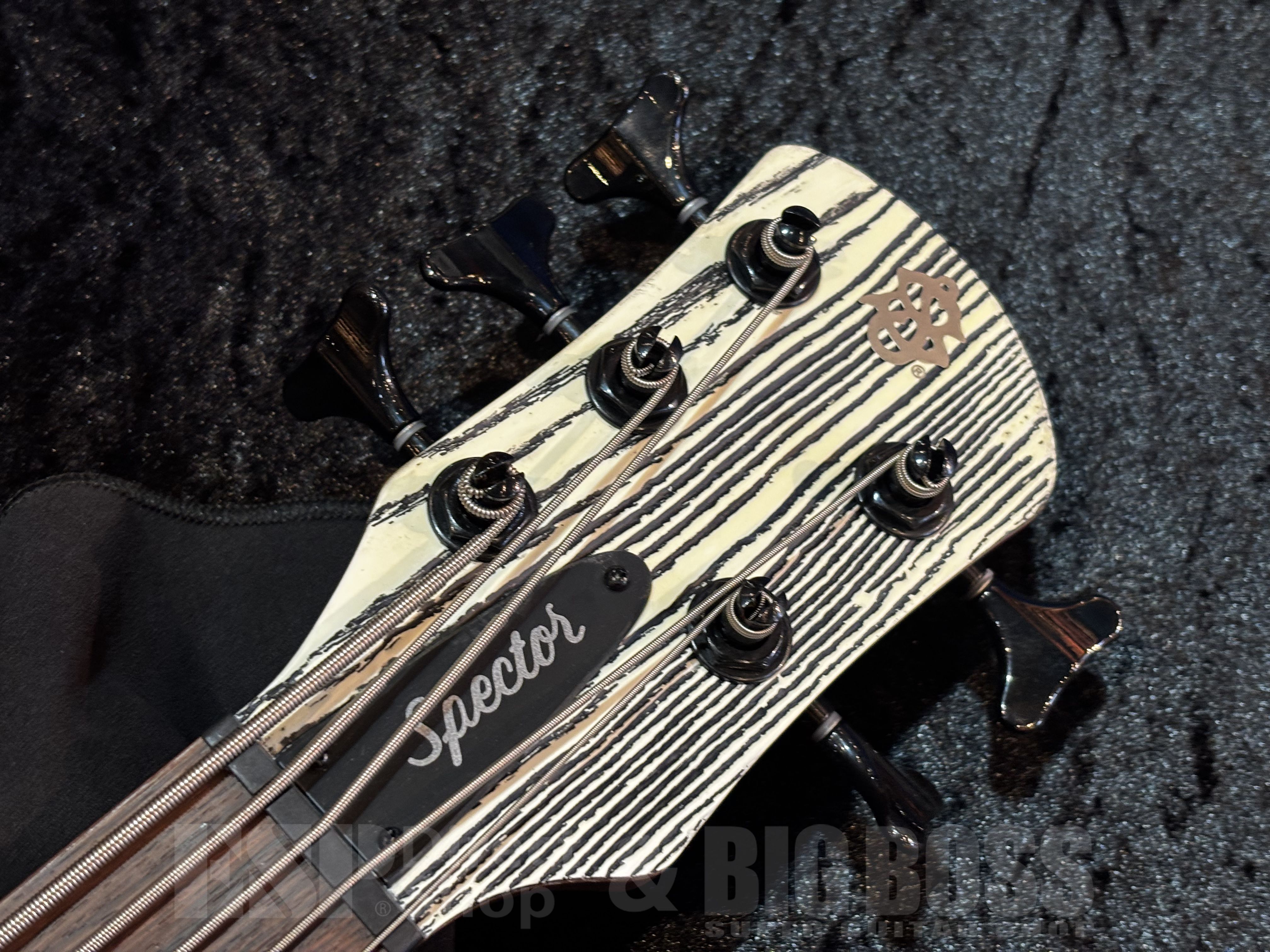 【即納可能】Spector（スペクター）NS PULSE 5 Satin EX-LTD【White w/Black Fill】