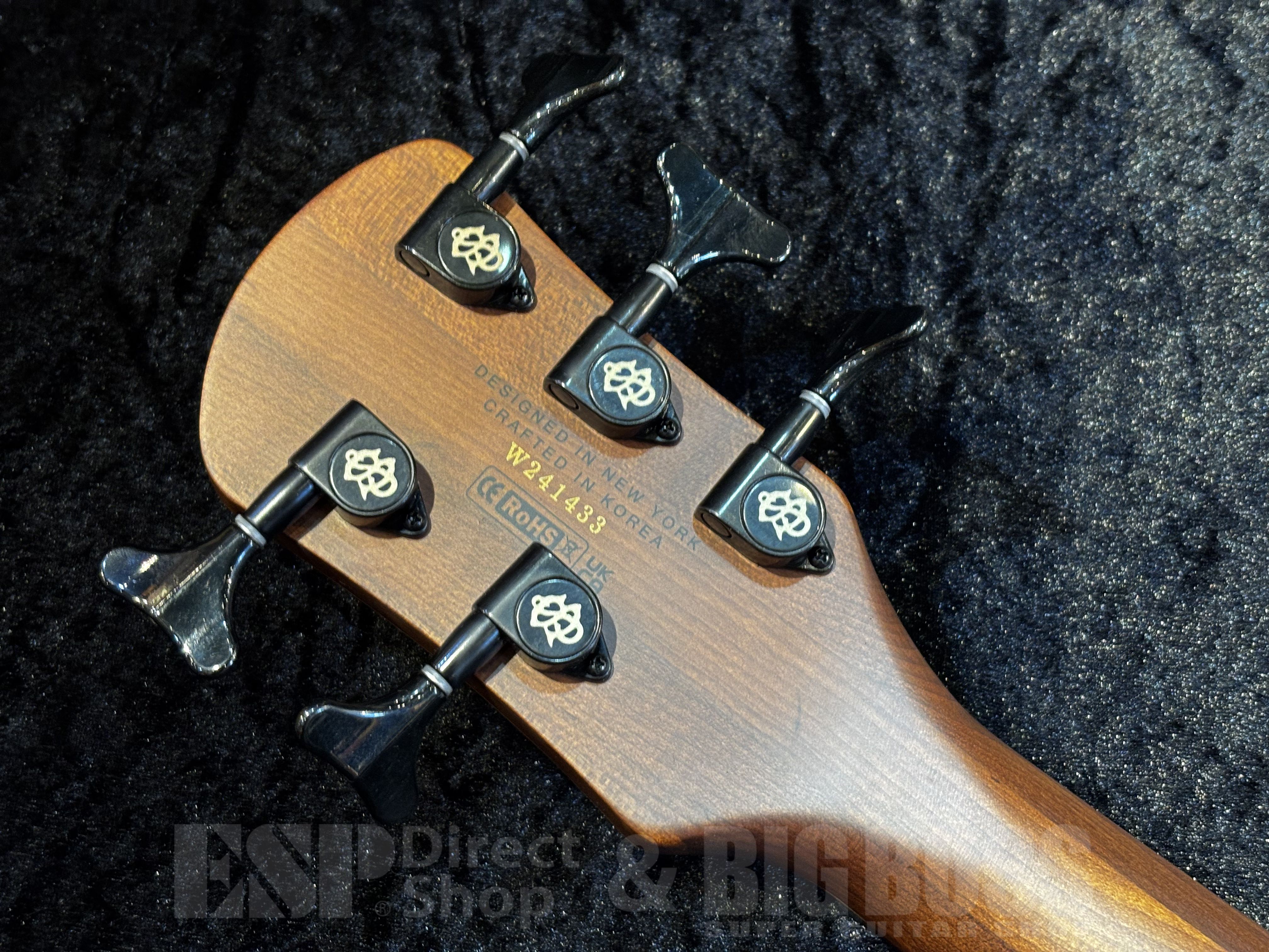 【即納可能】Spector（スペクター）NS PULSE 5 Satin EX-LTD【White w/Black Fill】