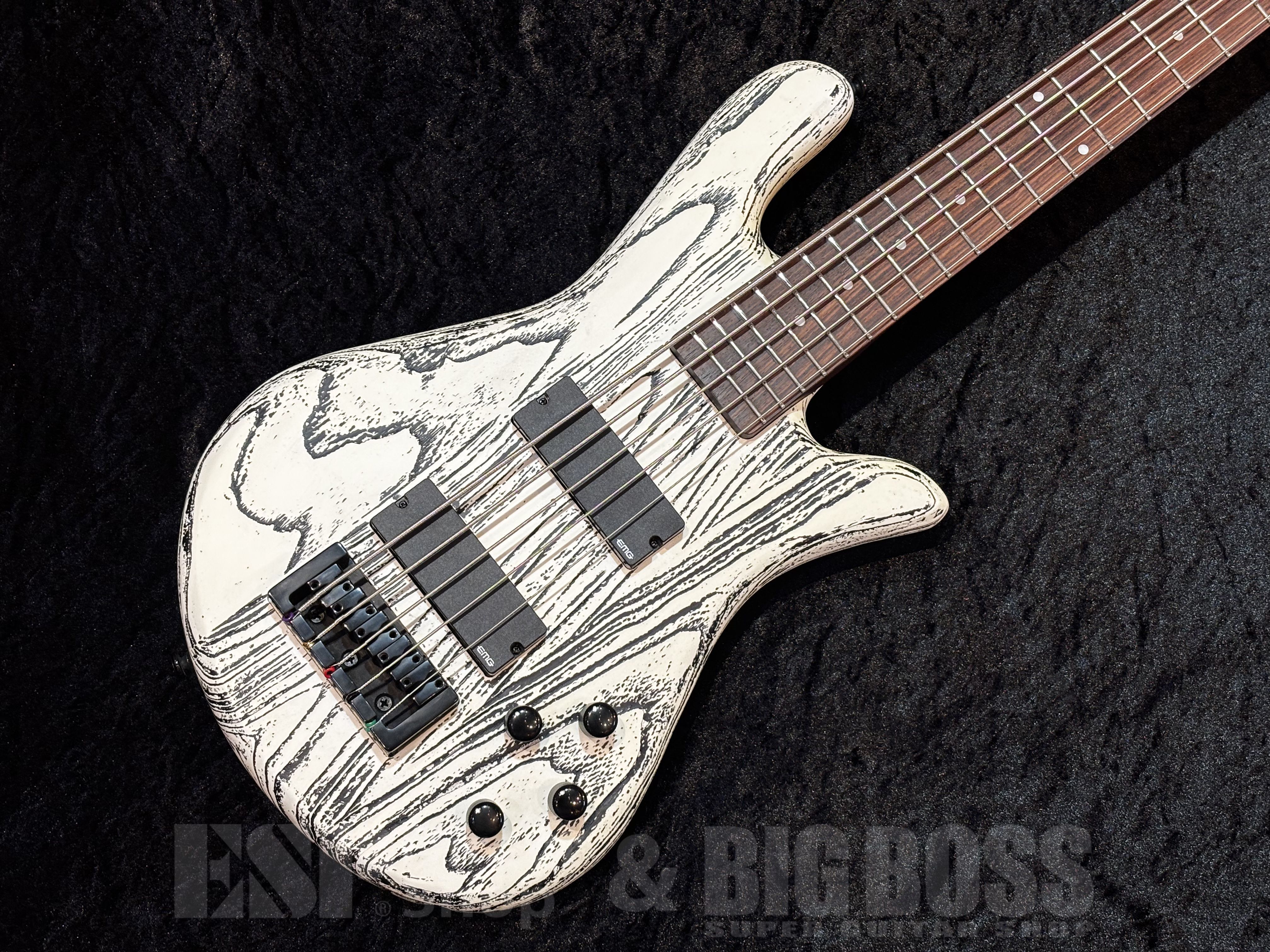 【即納可能】Spector（スペクター）NS PULSE 5 Satin EX-LTD【White w/Black Fill】