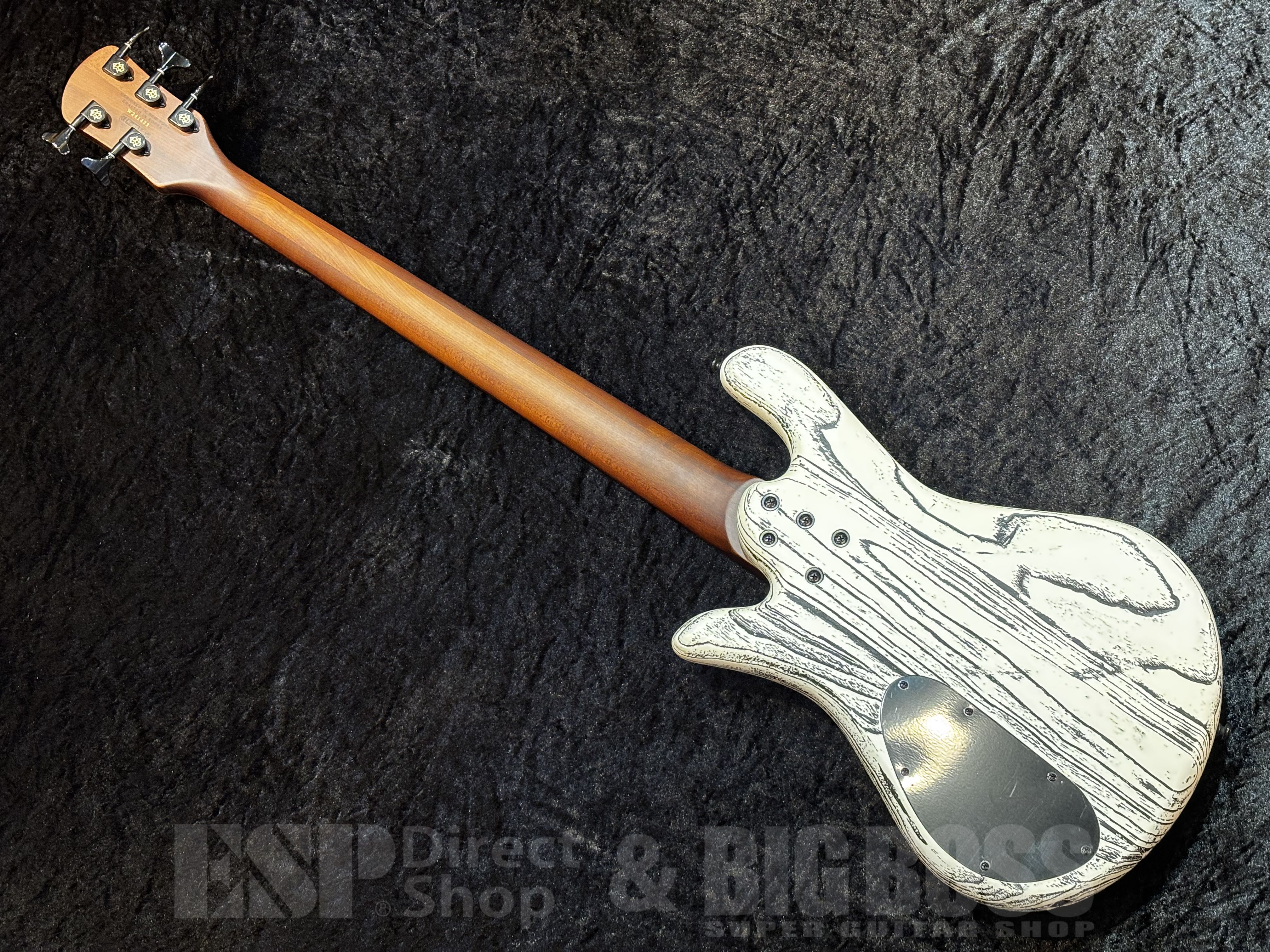 【即納可能】Spector（スペクター）NS PULSE 5 Satin EX-LTD【White w/Black Fill】