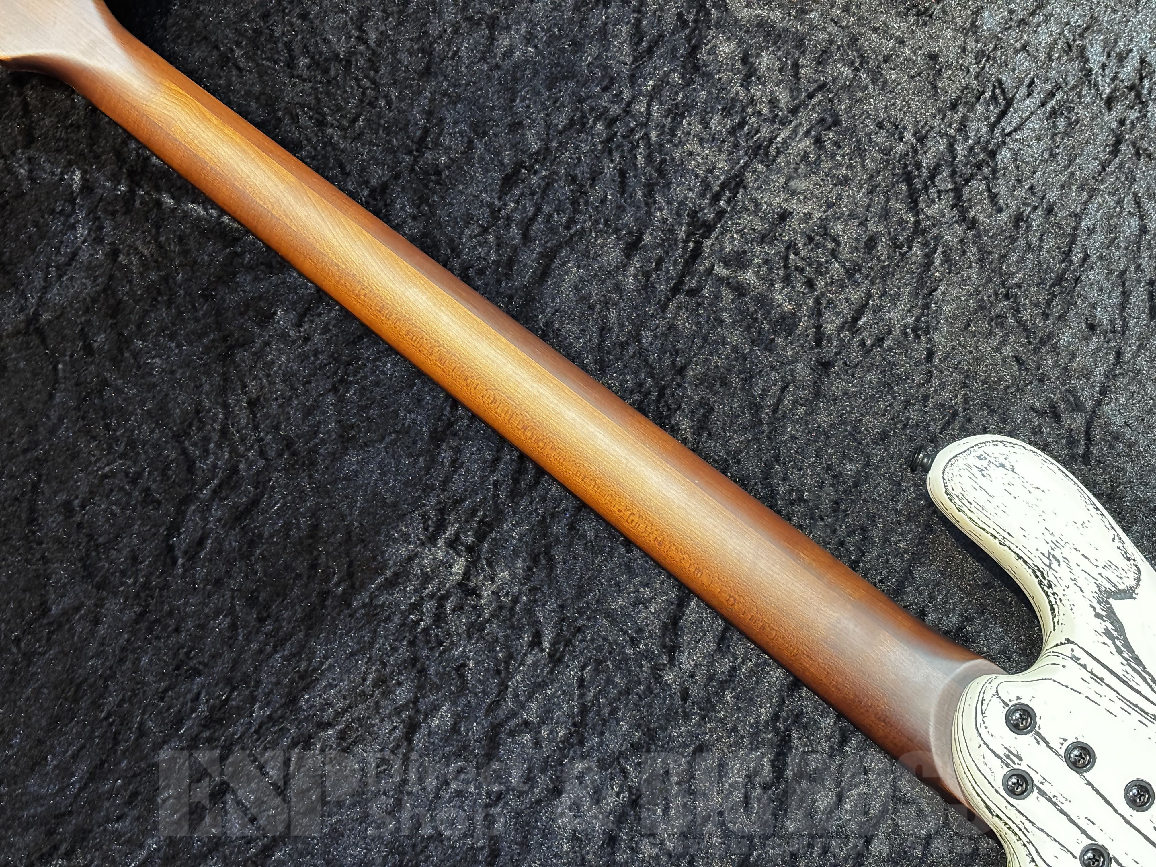 【即納可能】Spector（スペクター）NS PULSE 5 Satin EX-LTD【White w/Black Fill】