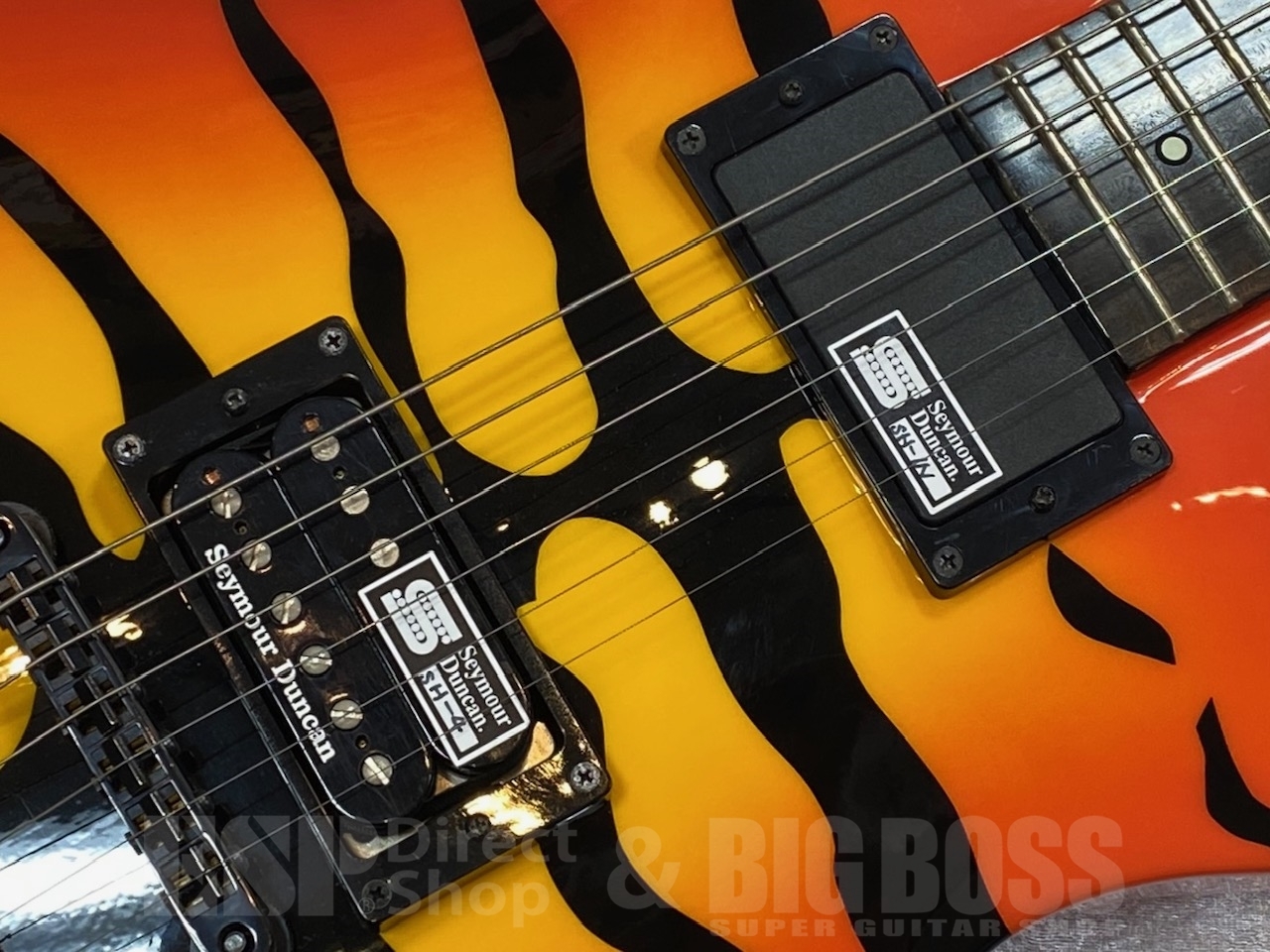 【即納可能】EDWARDS E-SR-Kellogg (Hi-STANDARD 横山健モデル)GWS