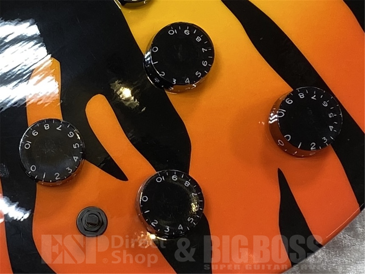 【即納可能】EDWARDS E-SR-Kellogg (Hi-STANDARD 横山健モデル)GWS