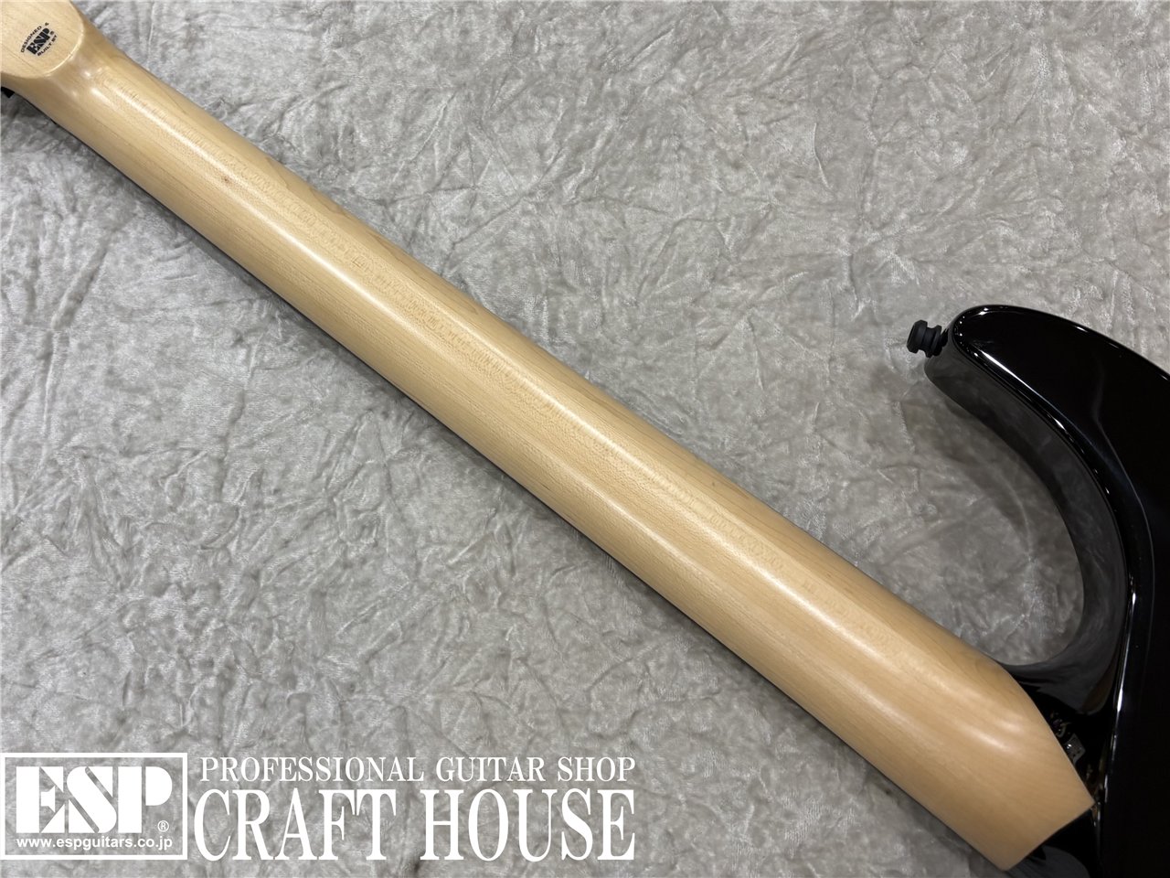 【即納可能】E-II M-II NECK THRU / Black　渋谷店