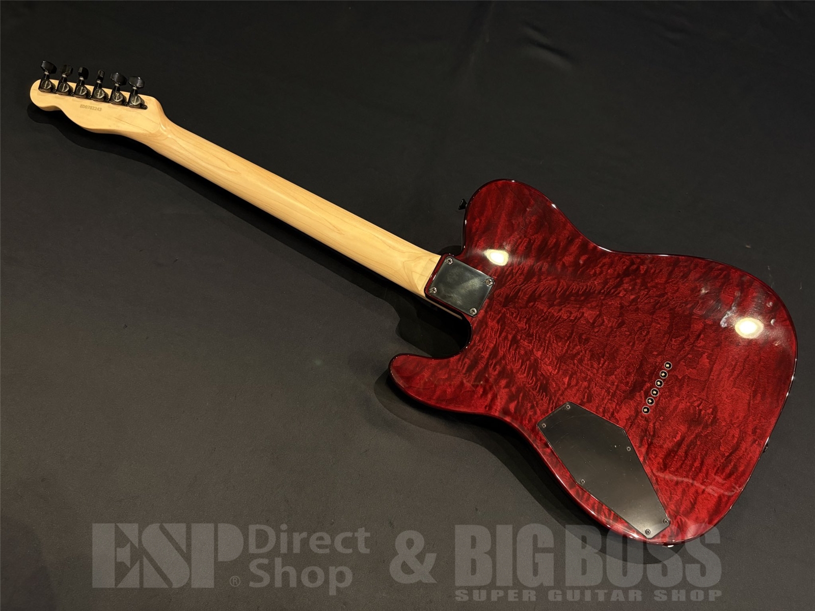 【即納可能】EDWARDS (エドワーズ) E-D-TE / See Thru Dark Red (DIR EN GREY Dieモデル) 京都店