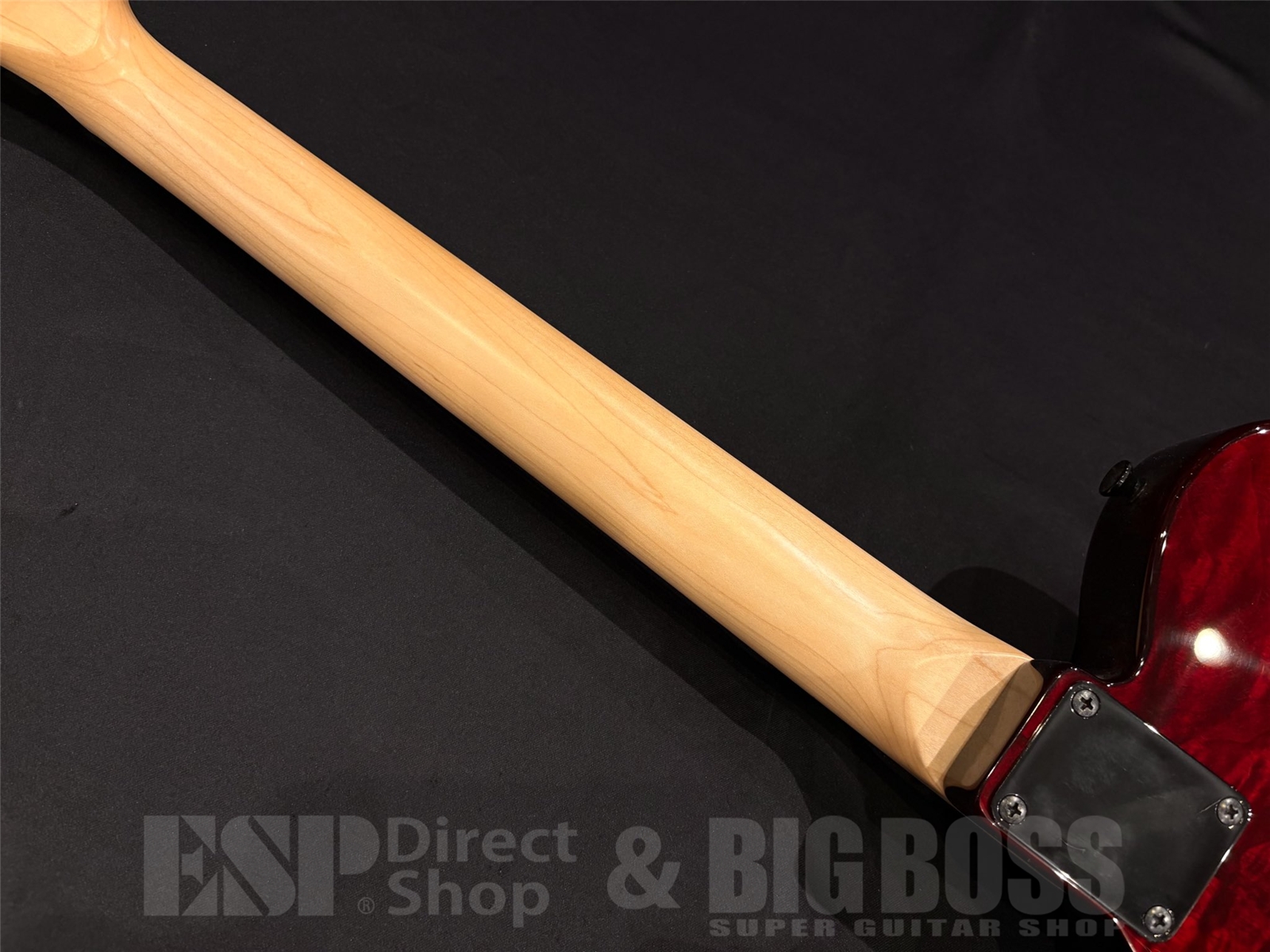 【即納可能】EDWARDS (エドワーズ) E-D-TE / See Thru Dark Red (DIR EN GREY Dieモデル) 京都店