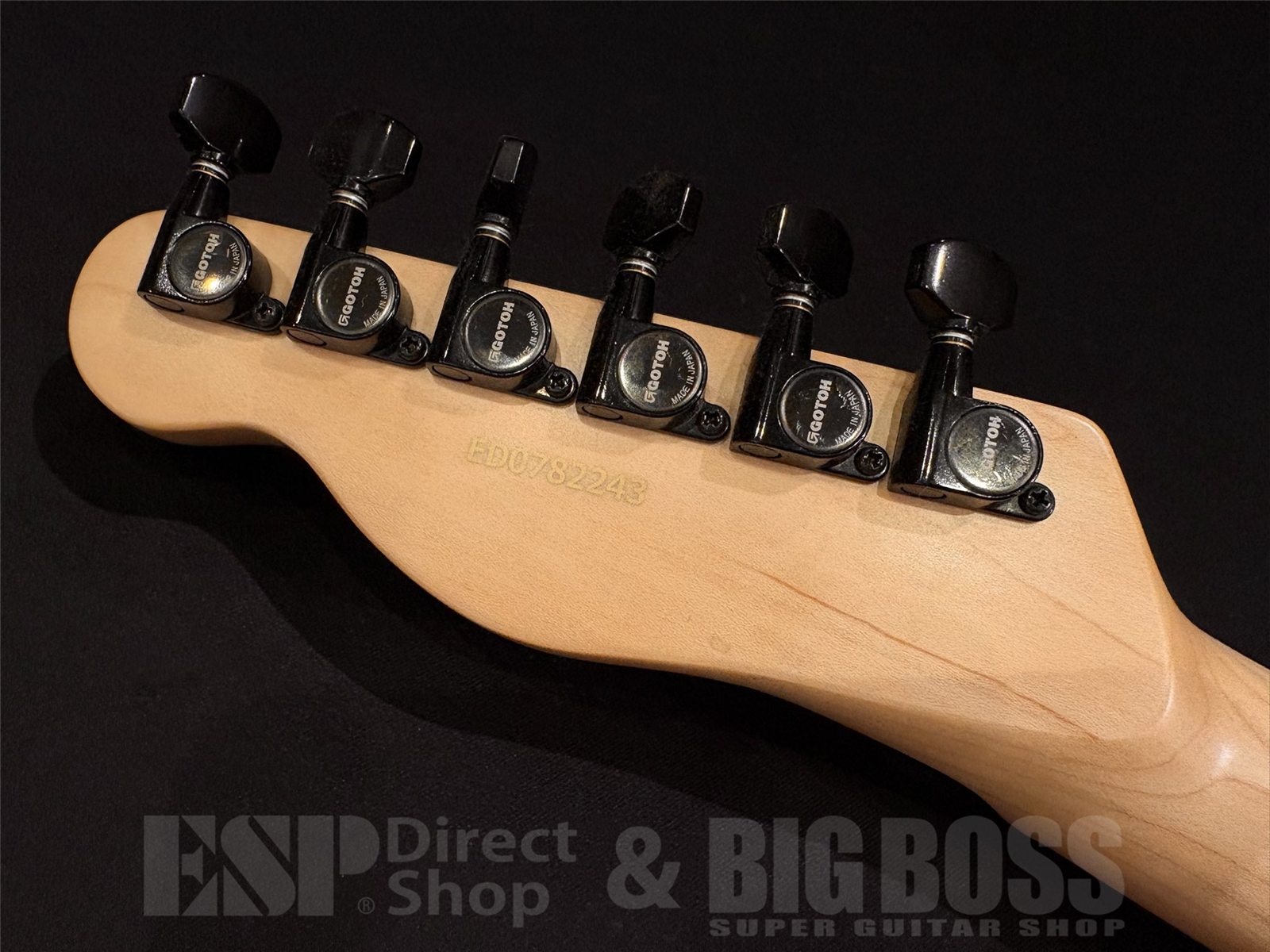 【即納可能】EDWARDS (エドワーズ) E-D-TE / See Thru Dark Red (DIR EN GREY Dieモデル) 京都店