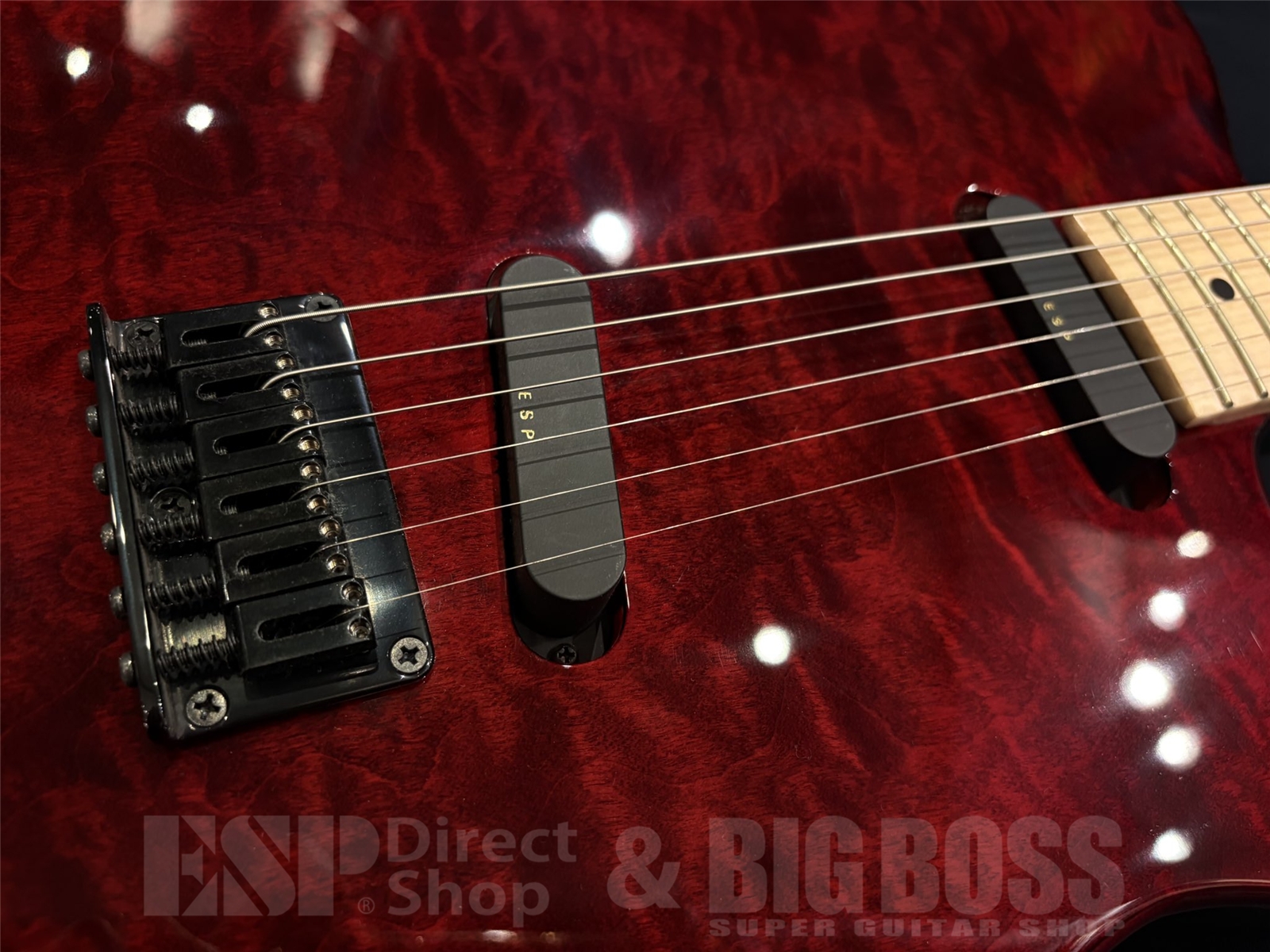 【即納可能】EDWARDS (エドワーズ) E-D-TE / See Thru Dark Red (DIR EN GREY Dieモデル) 京都店