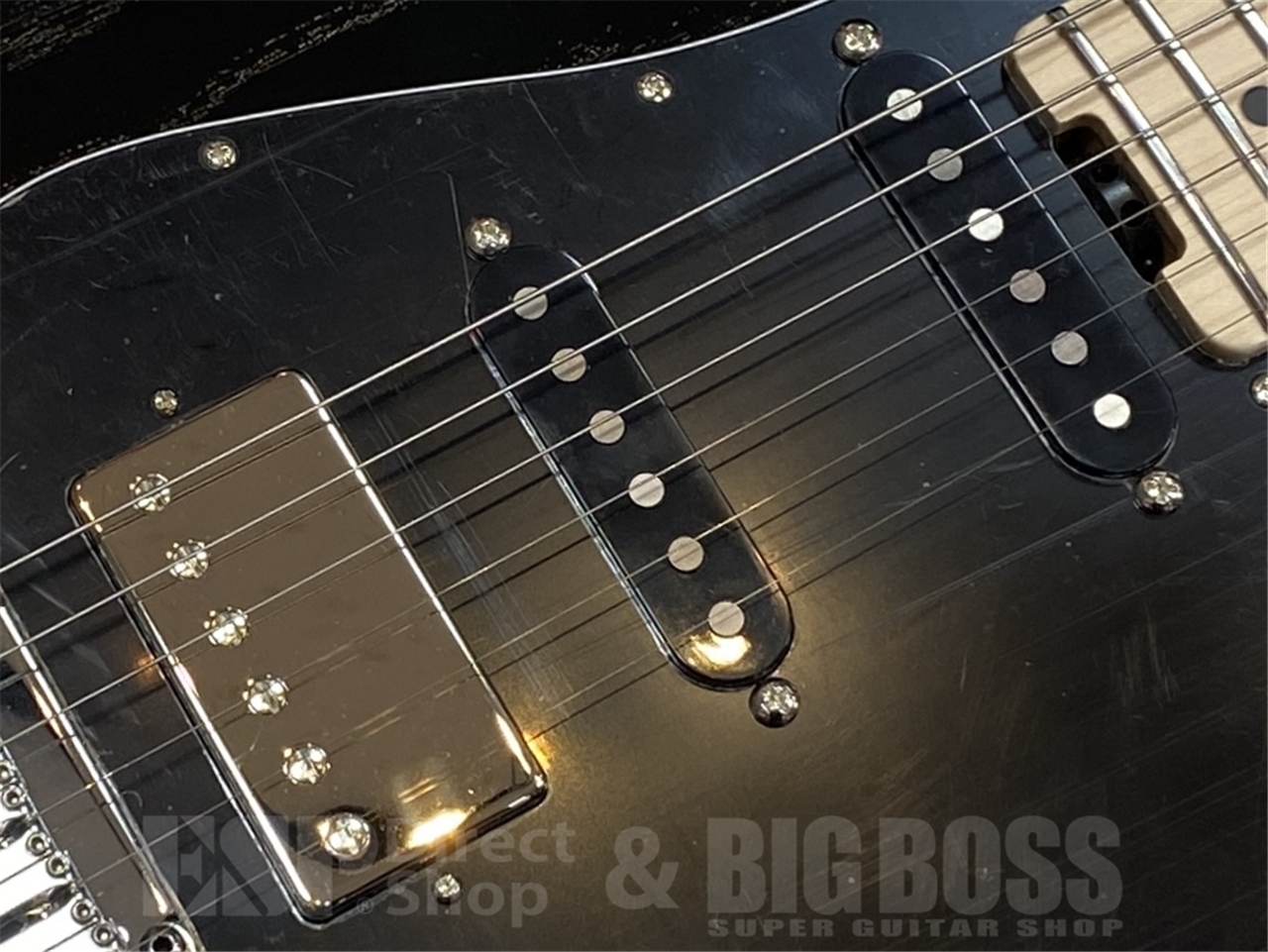 【即納可能】EDWARDS E-SNAPPER-AS/M /Solid Black GWS - 5